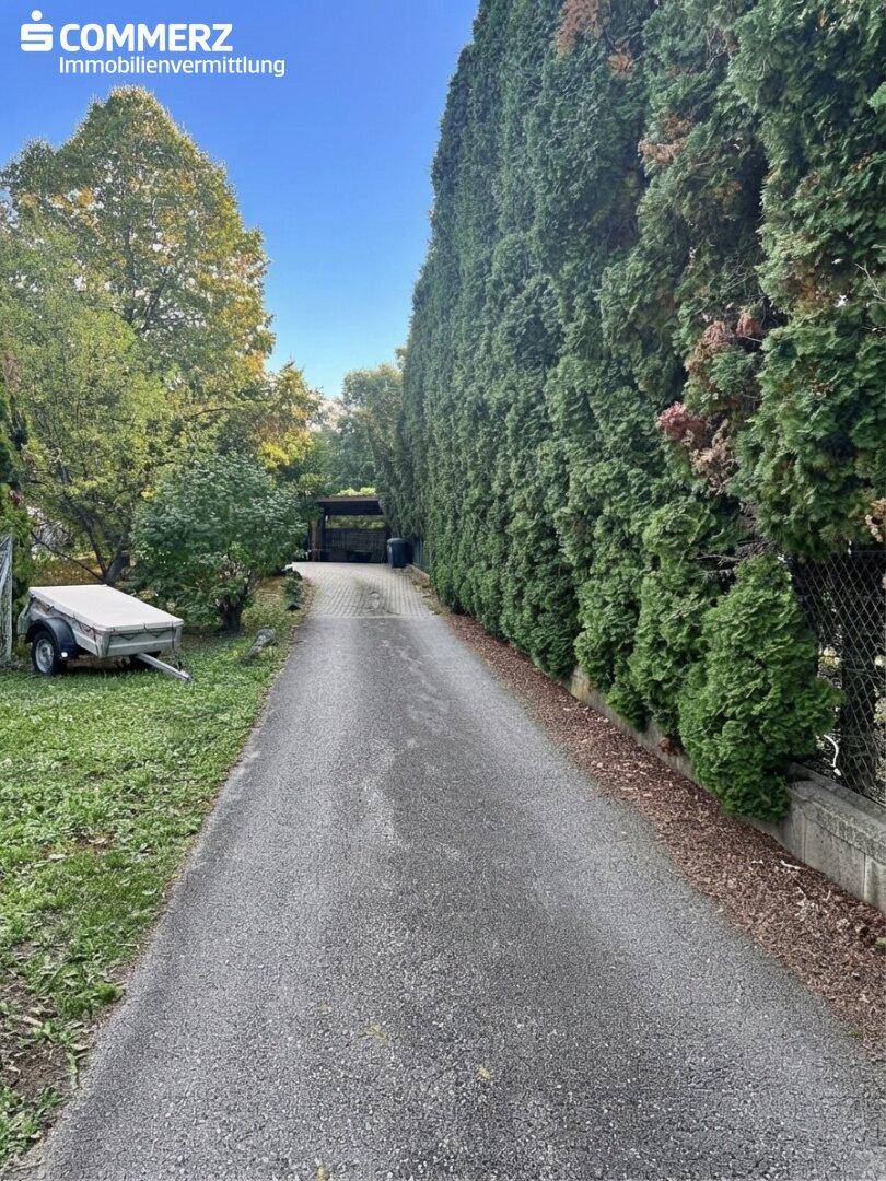 Lange Auffahrt, gesäumt von hohen Hecken, die zum Anwesen führt.