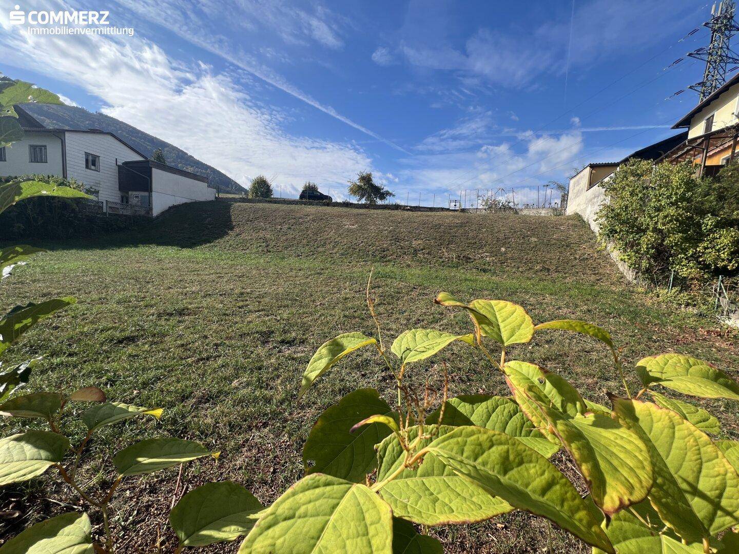 Sonniger Hangbereich des Grundstücks mit Grasbewuchs und Blick auf den blauen Himmel.