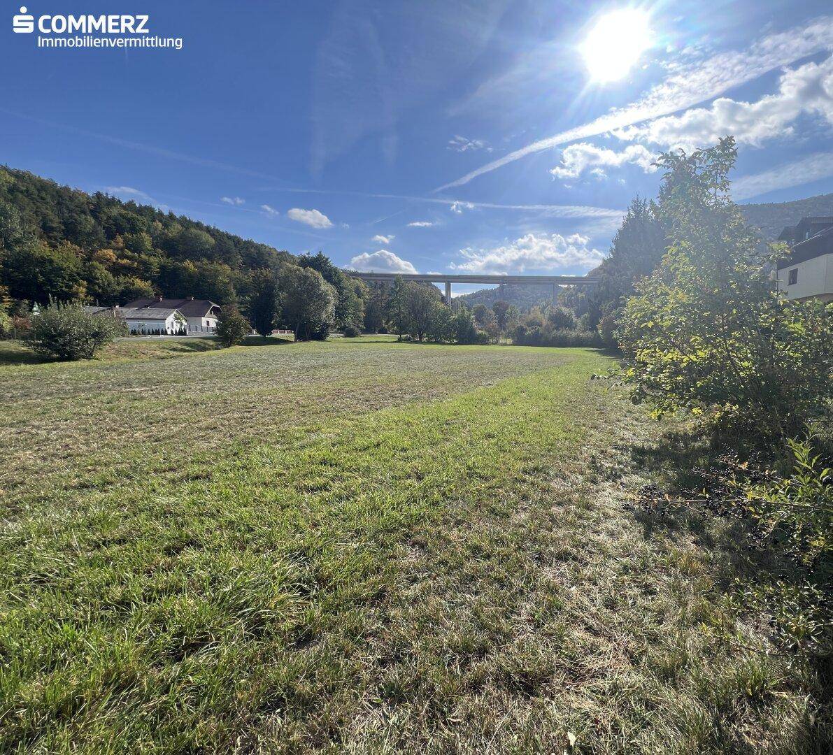 Weitläufiges, offenes Grundstück mit viel Sonne und einem Viadukt in der Ferne.