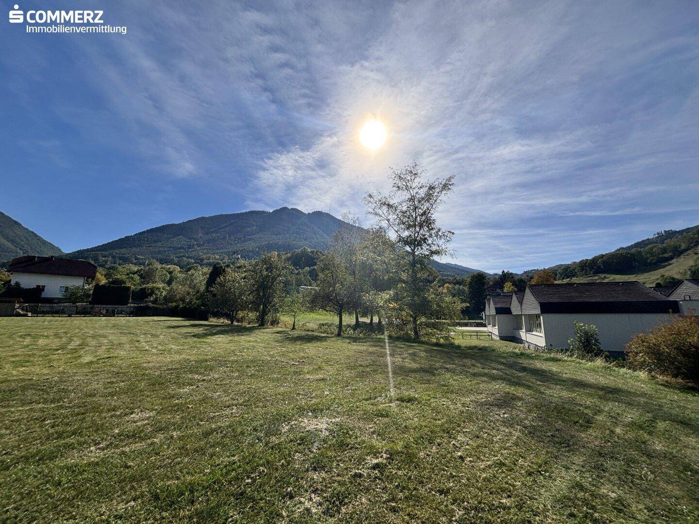 Weitläufige grüne Wiese mit Bäumen und Bergen im Hintergrund unter strahlendem Sonnenschein.