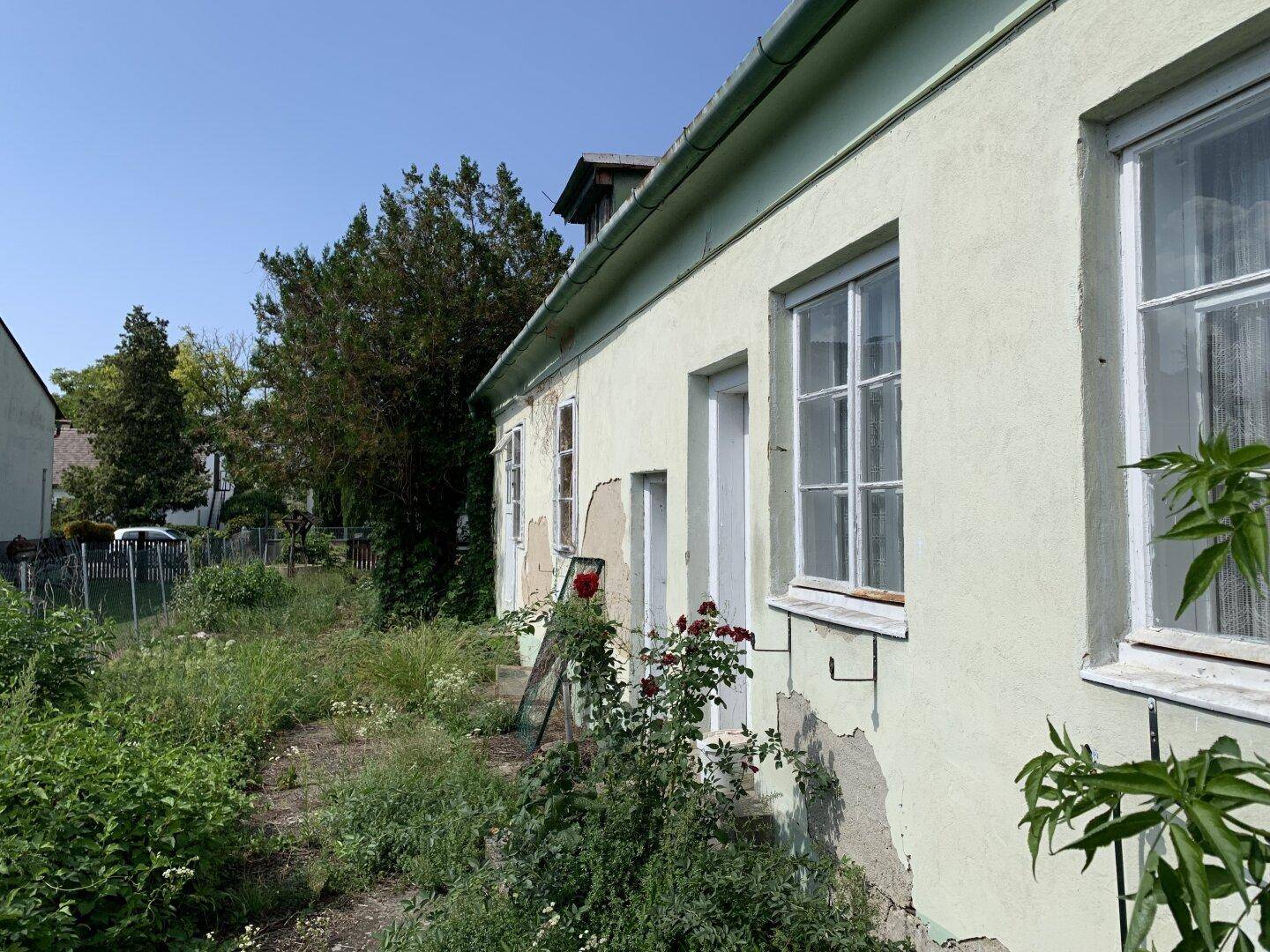 Seitenansicht eines älteren Gebäudes mit abblätterndem Putz und einem verwilderten Gartenbereich.