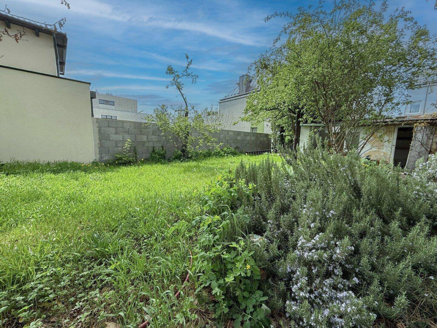 Großer, grüner Garten mit üppiger Vegetation, Rasenfläche und einer Mauer im Hintergrund.