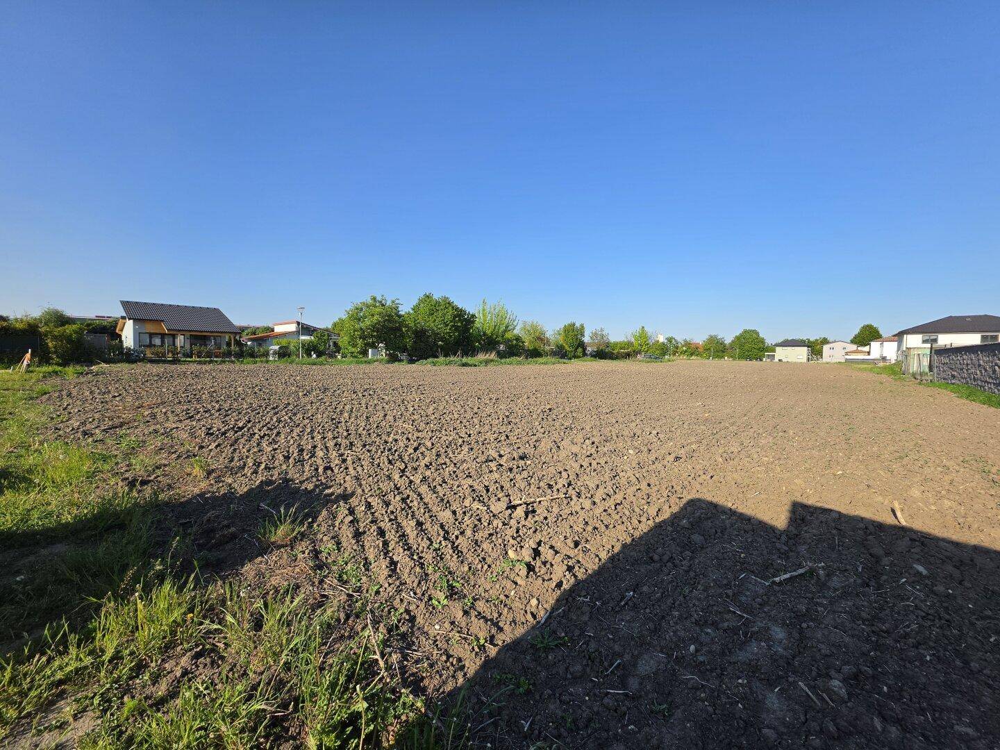Weitläufiges unbebautes Grundstück mit Ackerboden und vereinzelter Vegetation unter klarem Himmel.