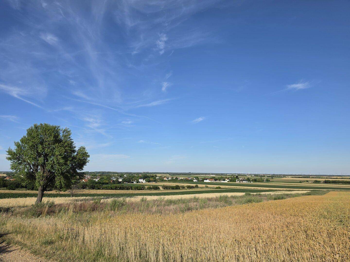 Leben mitten in der Natur! - Vista 2