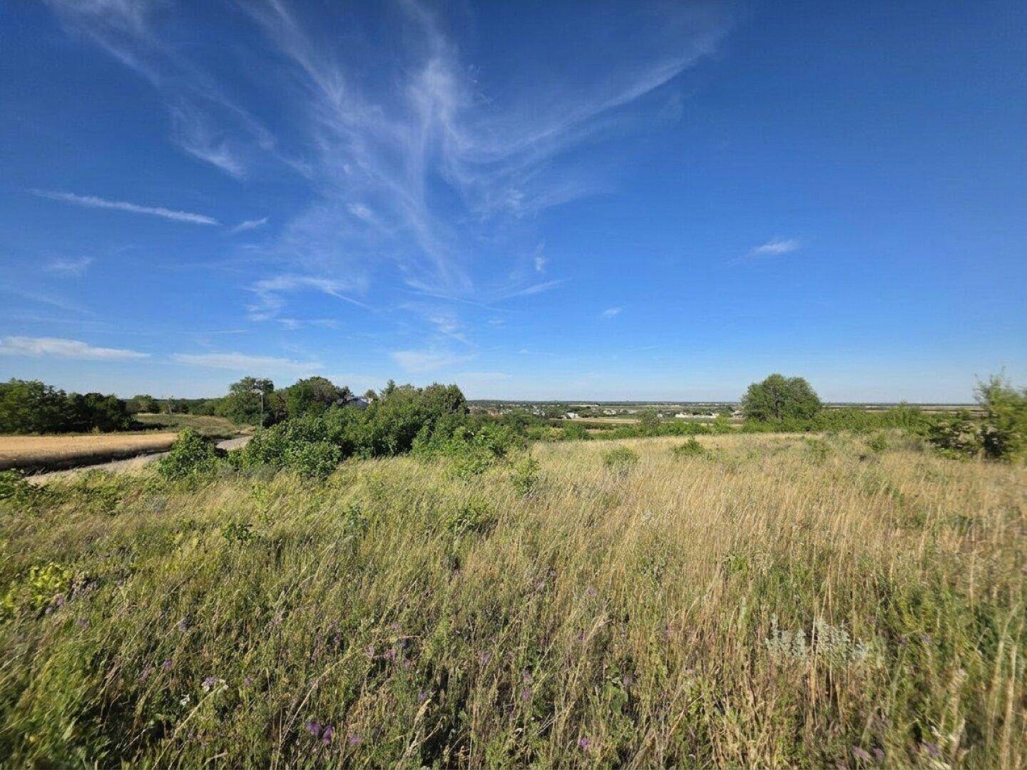 Panoramablick über weite, grüne Felder und Wiesen mit vereinzelten Bäumen unter einem strahlend blauen Himmel.