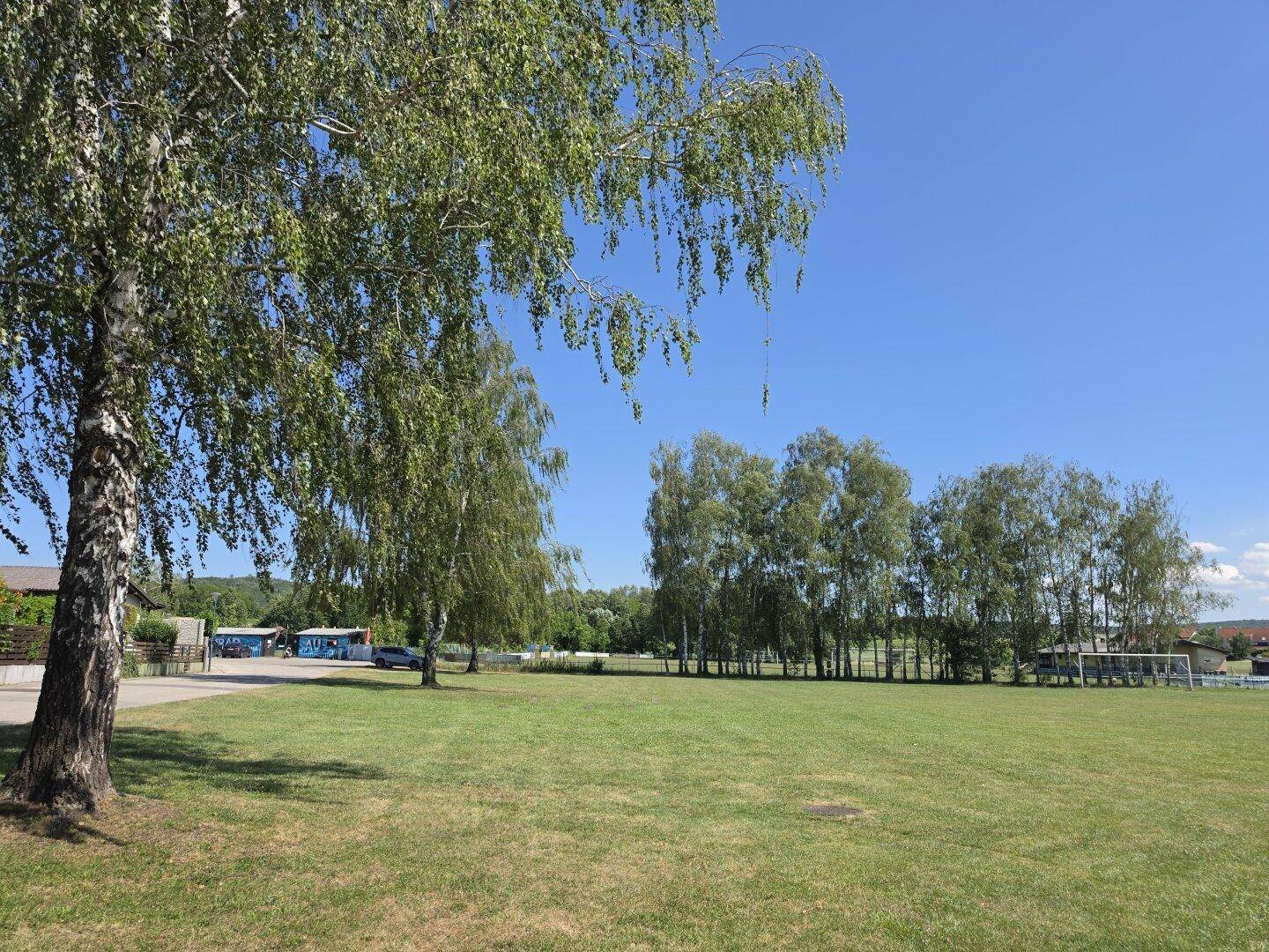 Weitläufige Grünfläche mit Bäumen unter blauem Himmel, ideal für Erholung.