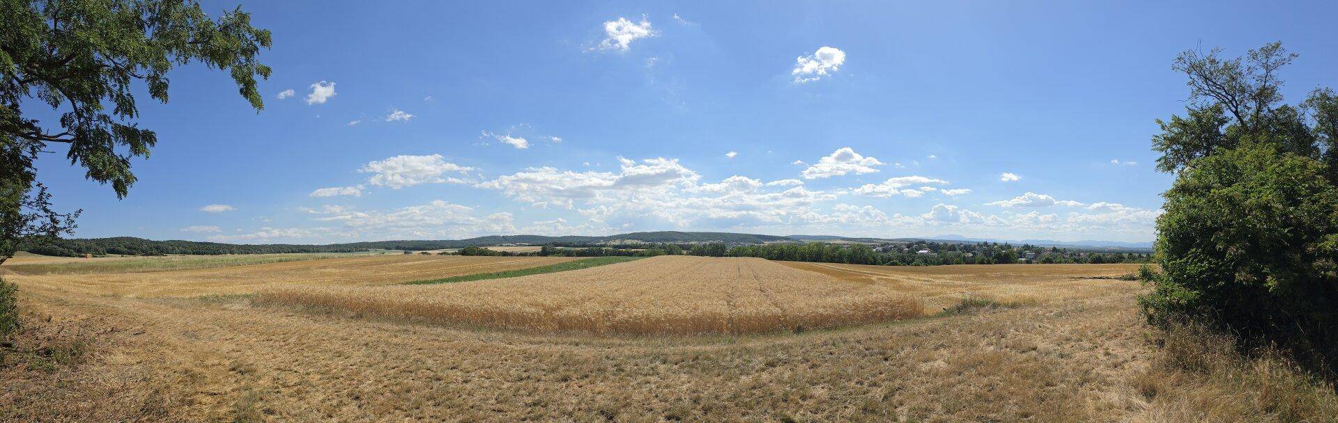 Weitläufiger Blick über goldene Felder und sanfte Hügel unter blauem Himmel mit einem Dorf am Horizont.