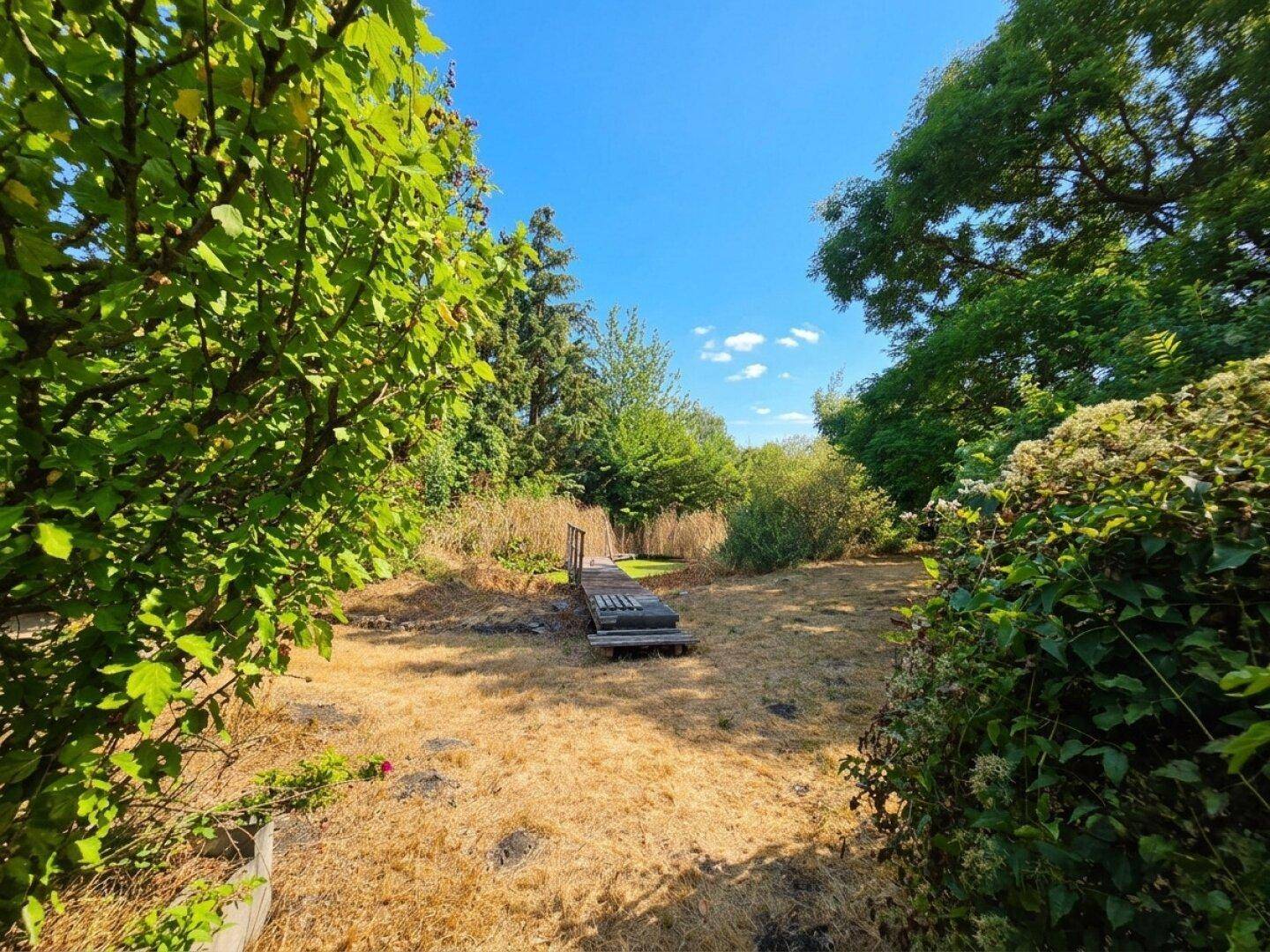 Naturbelassener Gartenbereich mit Bäumen, trockenem Gras und einem kleinen Holzsteg.