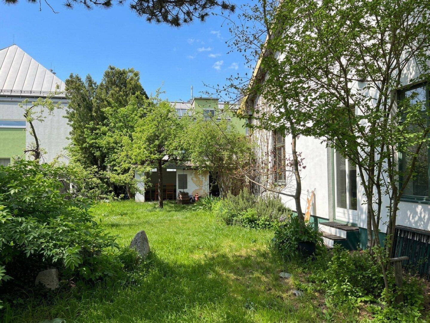 Grüner Gartenbereich mit Rasen und Bäumen, bietet viel Platz zur Erholung im Freien.