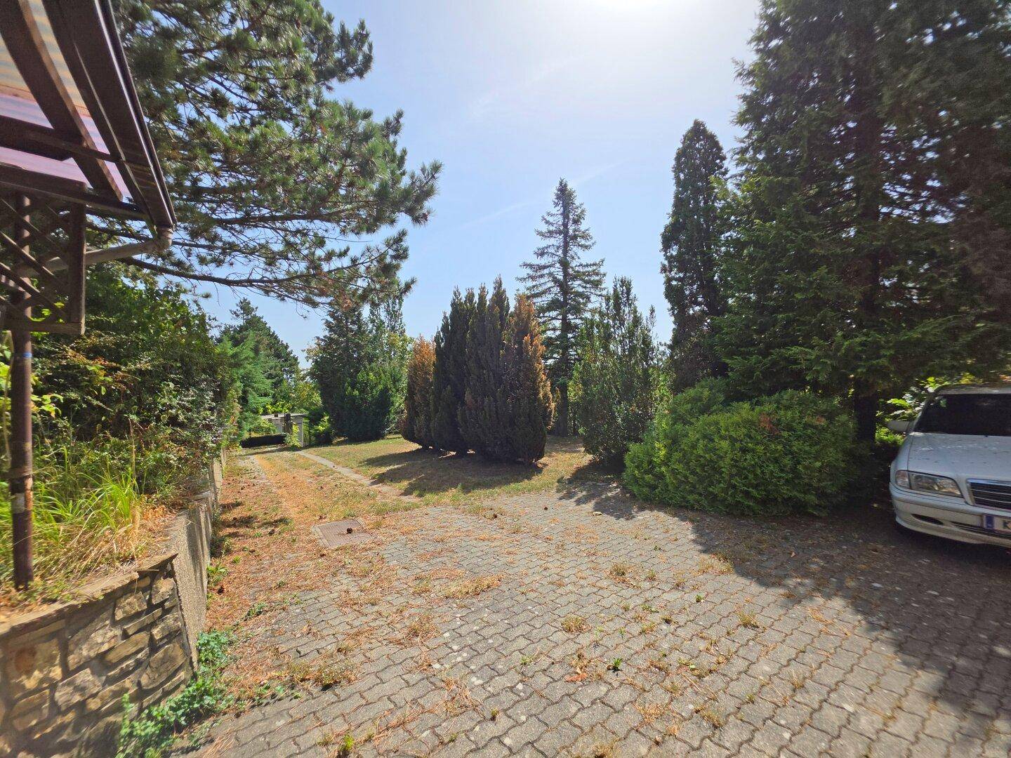 Gepflasterte Einfahrt und naturbelassener Gartenbereich mit altem Baumbestand.