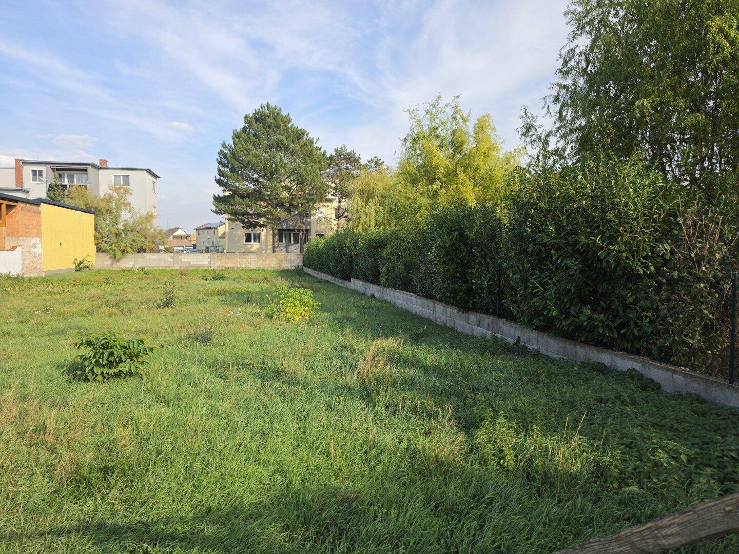 Unbebautes Grundstück mit üppigem Gras und einer dichten Hecke im Hintergrund.