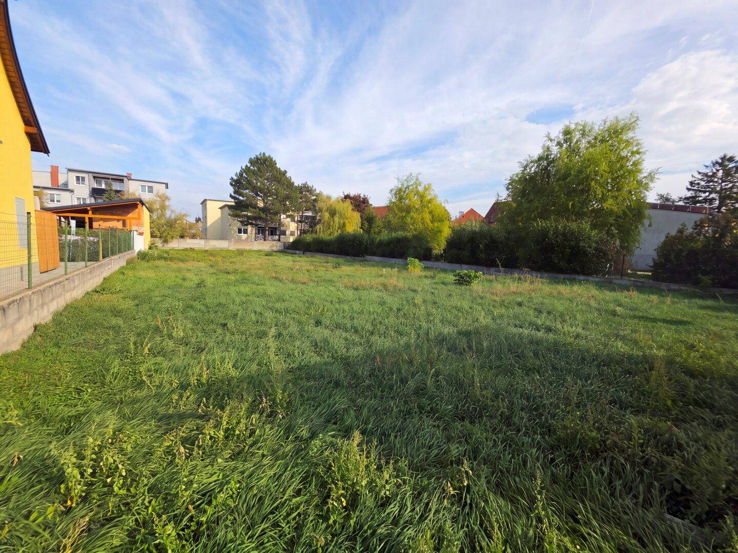 Grünes Grundstück mit hohem Gras und angrenzenden Gebäuden unter einem bewölkten Himmel.