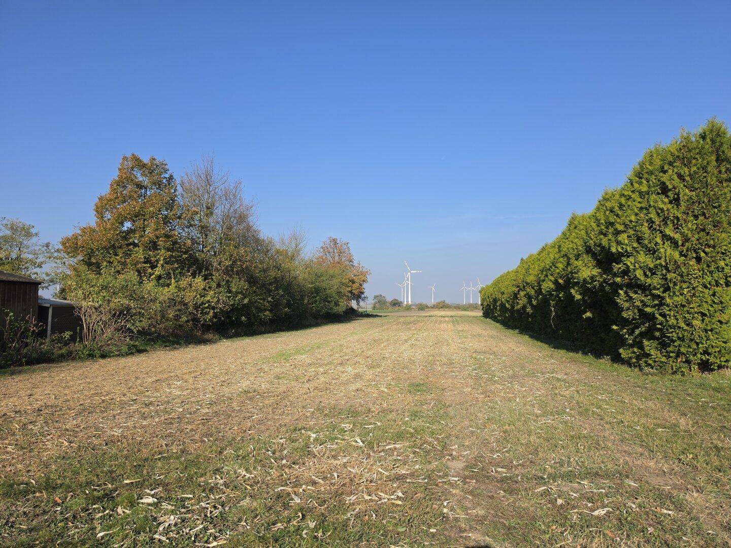 Weitläufiges Grundstück mit Hecke und Blick auf Windräder in der Ferne.