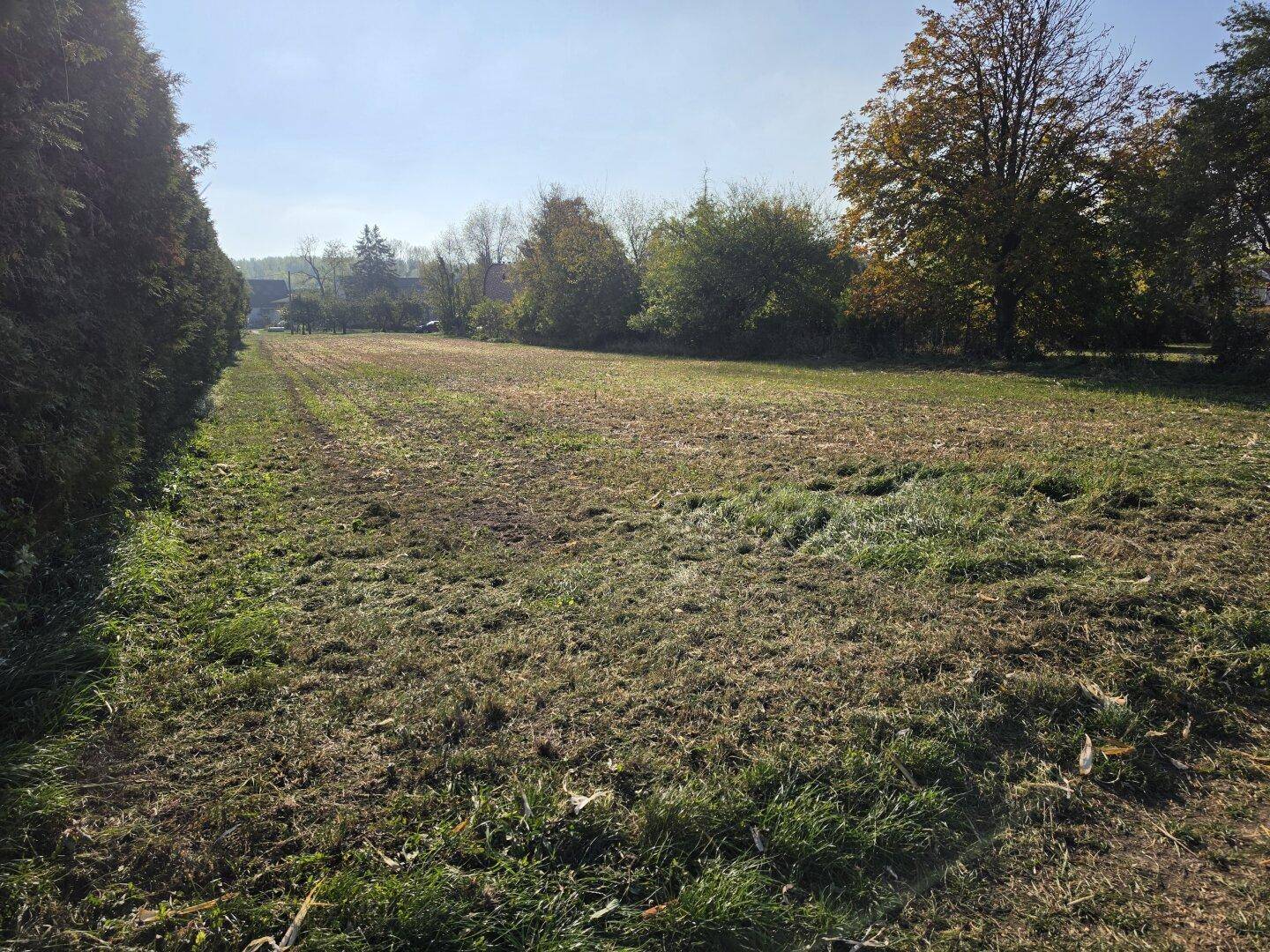 Grünes Grundstück mit langer Hecke und Blick auf die ländliche Umgebung.