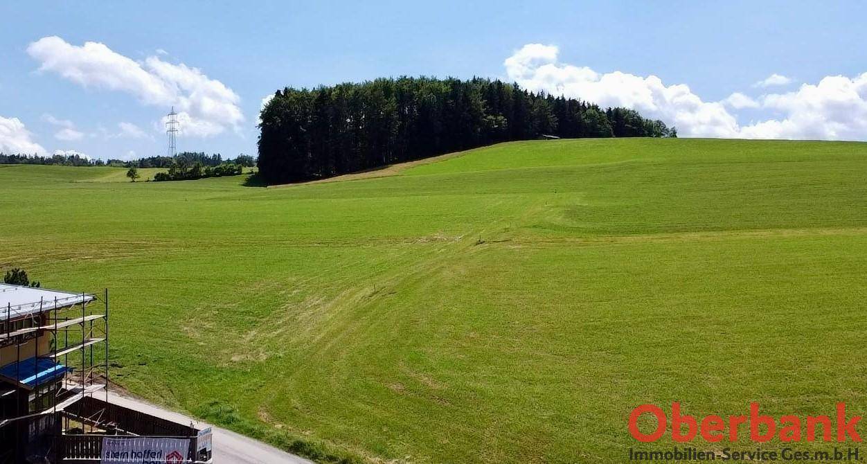 Ausblick vom Baugrund Südseite