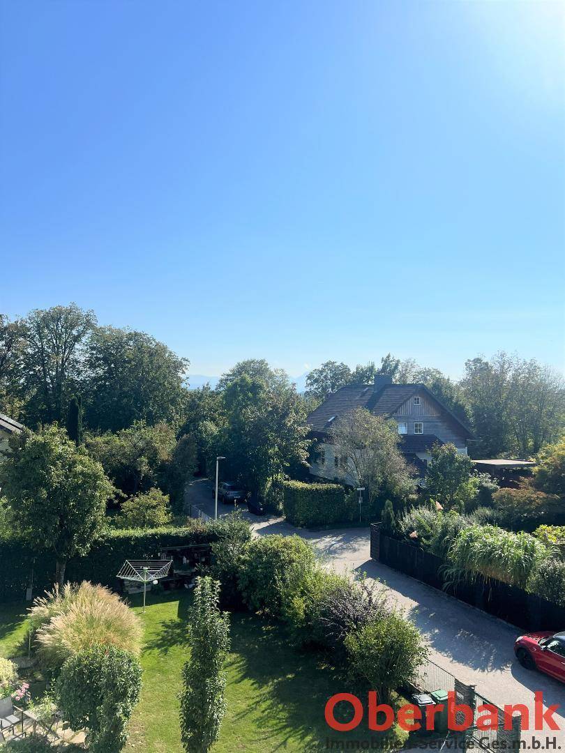 Weitläufiger Blick von oben auf eine grüne Wohngegend mit vielen Bäumen.