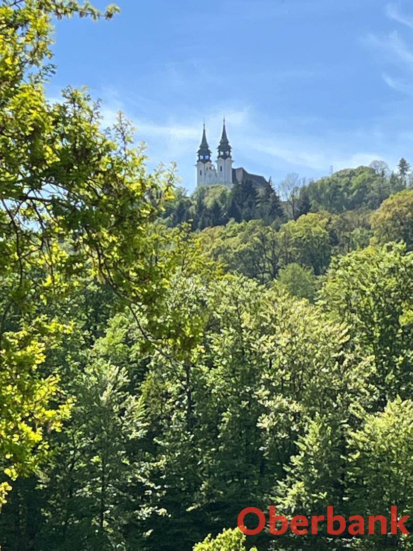 Historische Kirche mit zwei Türmen auf einem bewaldeten Hügel, umgeben von üppigem Grün unter blauem Himmel.