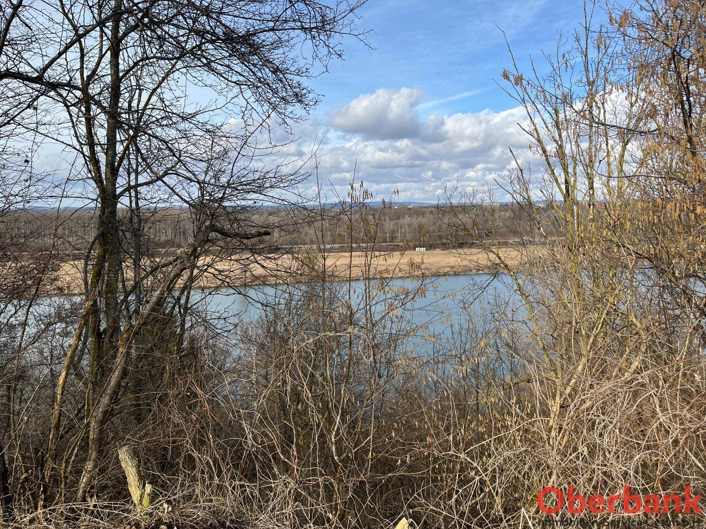 Blick durch kahle Äste auf einen ruhigen Fluss oder See und die weite Landschaft am Horizont.