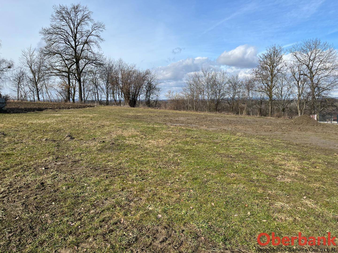 Weitläufiges, grasbewachsenes Grundstück mit kahlen Bäumen im Hintergrund unter einem bewölkten Himmel.