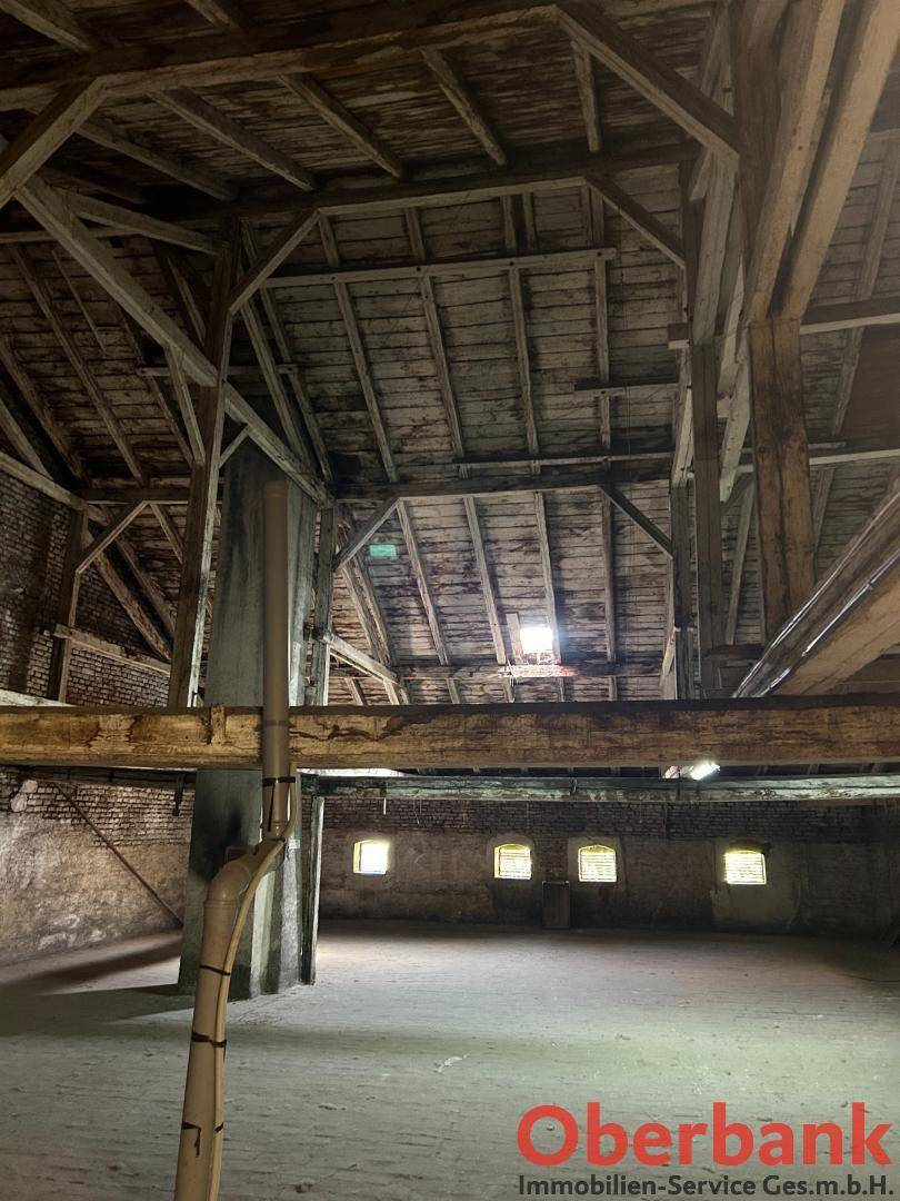 Großer, rustikaler Dachboden mit sichtbaren Holzbalken und Dachkonstruktion, beleuchtet durch kleine Fenster.