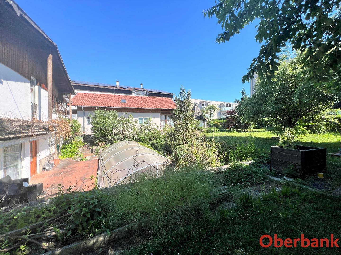 Gartenbereich mit Gewächshaus und verschiedenen Pflanzen, umgeben von üppigem Grün.