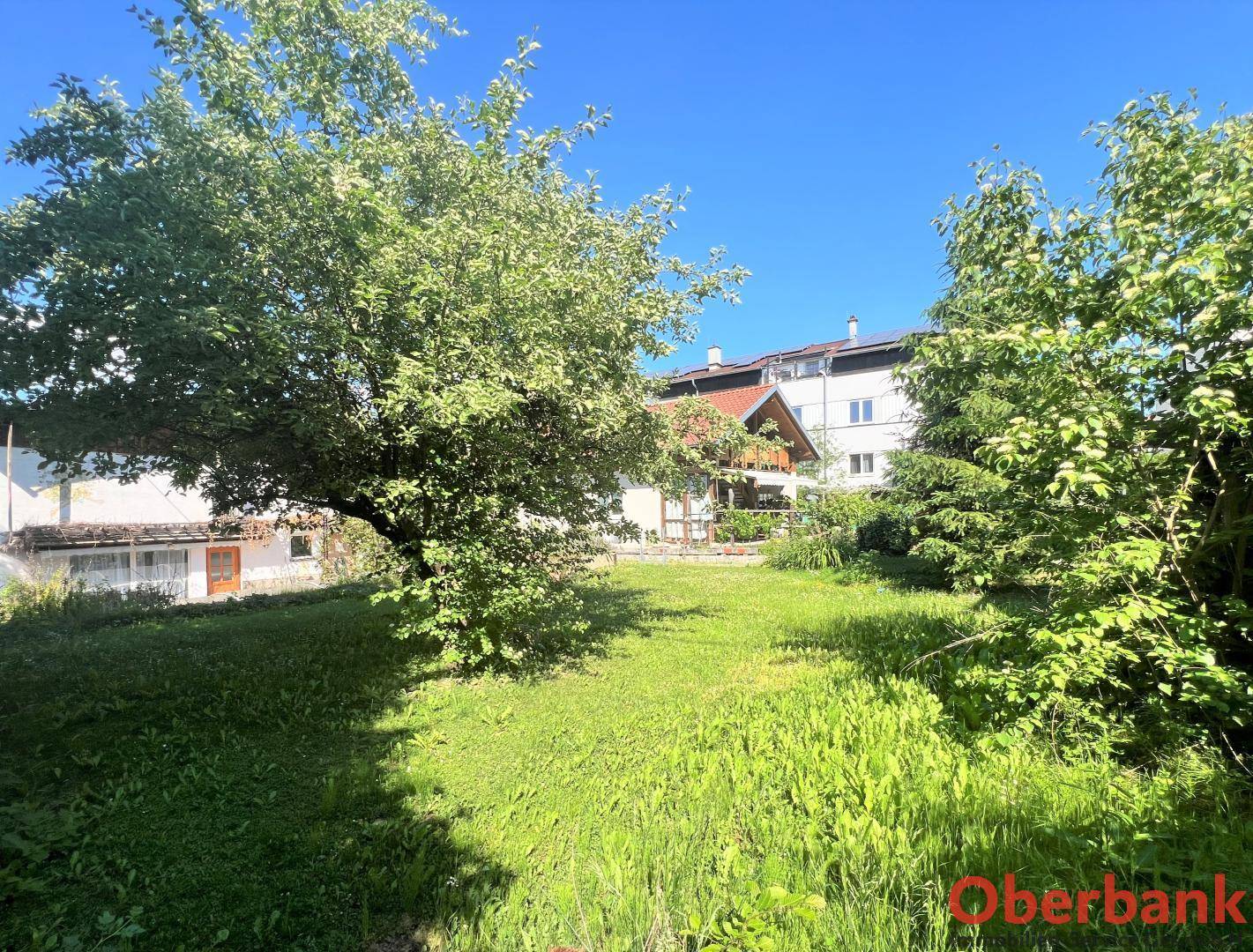 Großer, gepflegter Garten mit Rasenfläche und altem Baumbestand, ideal zum Entspannen.