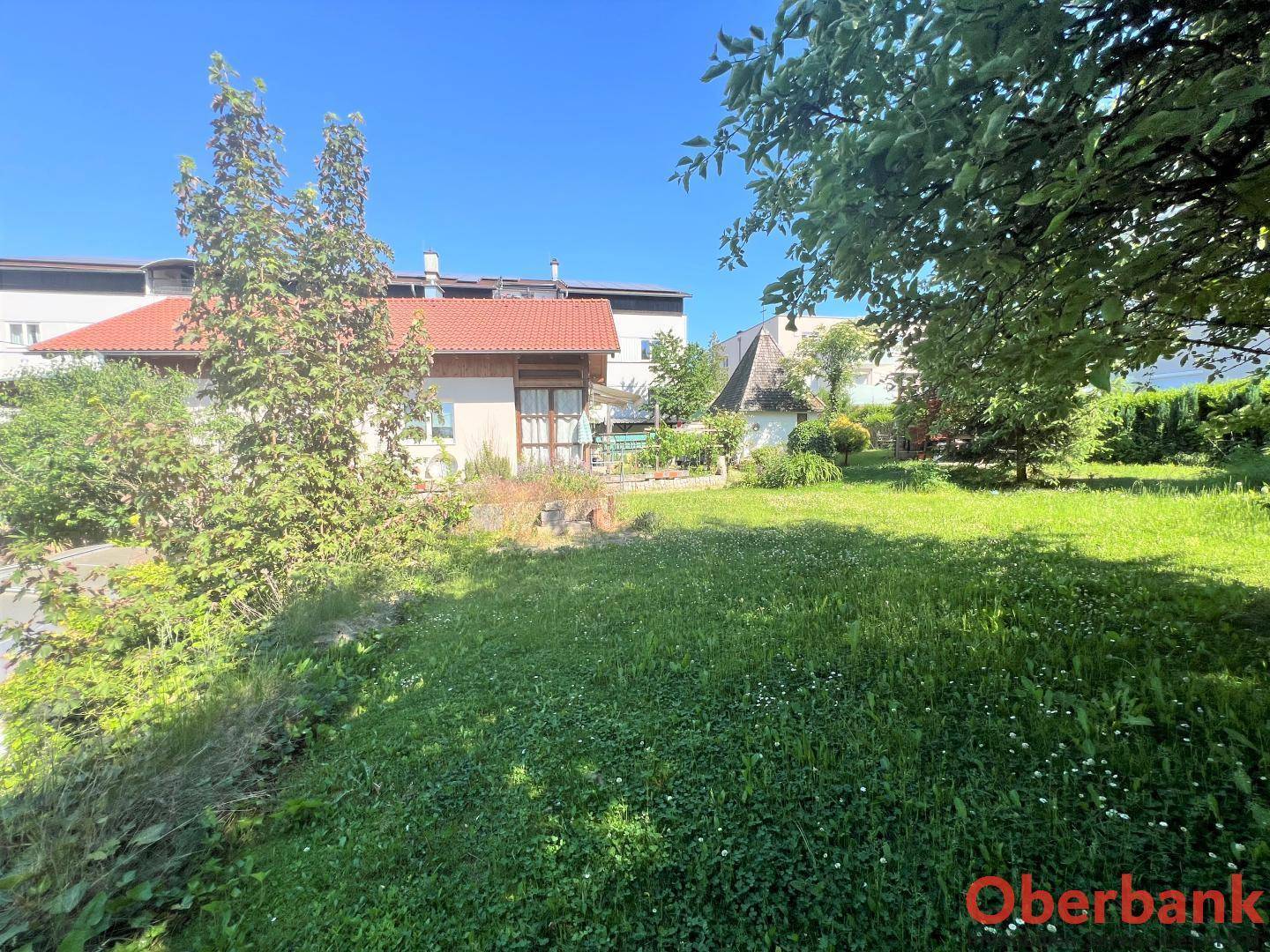 Weitläufiger Garten mit Rasenfläche und Bäumen, bietet viel Platz im Freien.