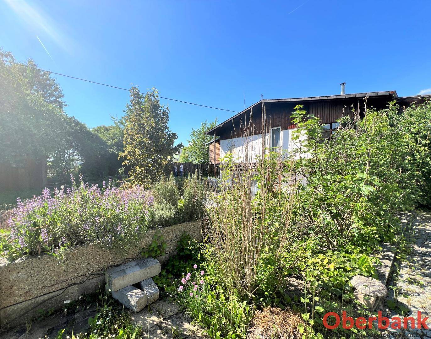 Bepflanzter Gartenbereich mit Blumenbeeten und Steinmauern, ideal für Gartenliebhaber.