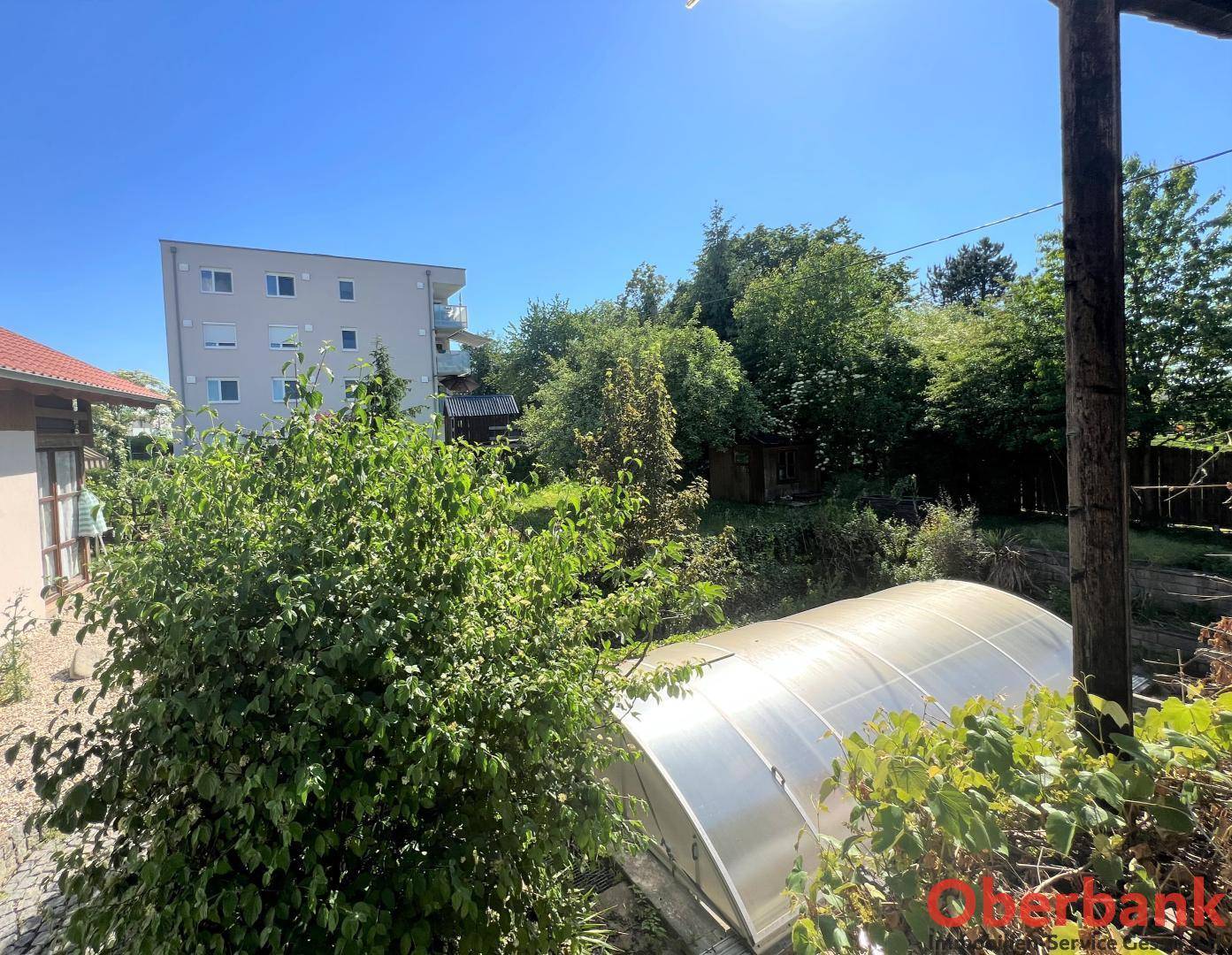 Garten mit Gewächshaus und üppiger Vegetation, bietet Raum für Pflanzenanbau.