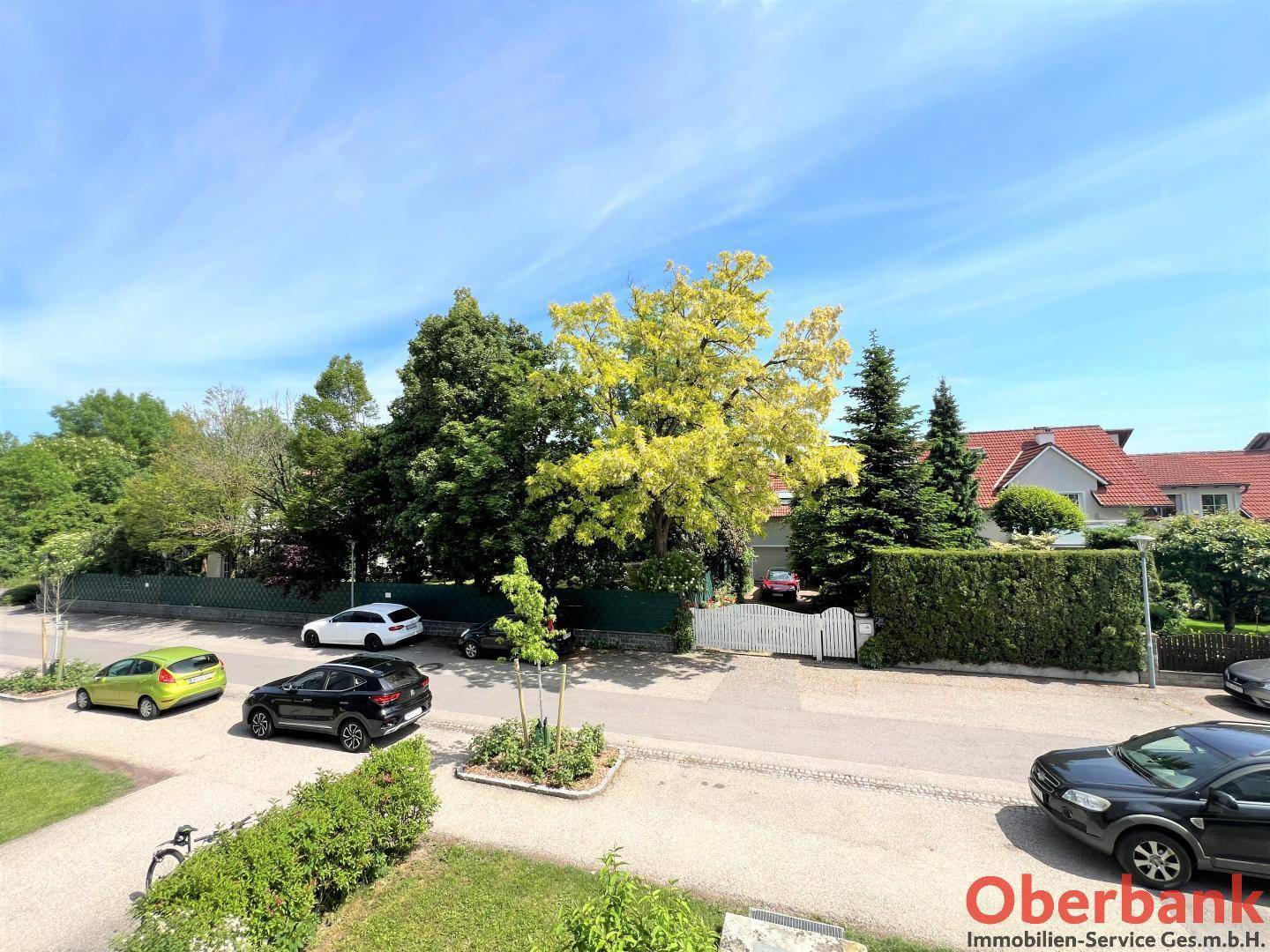 Blick auf die ruhige Wohnstraße mit parkenden Autos und üppiger Vegetation.