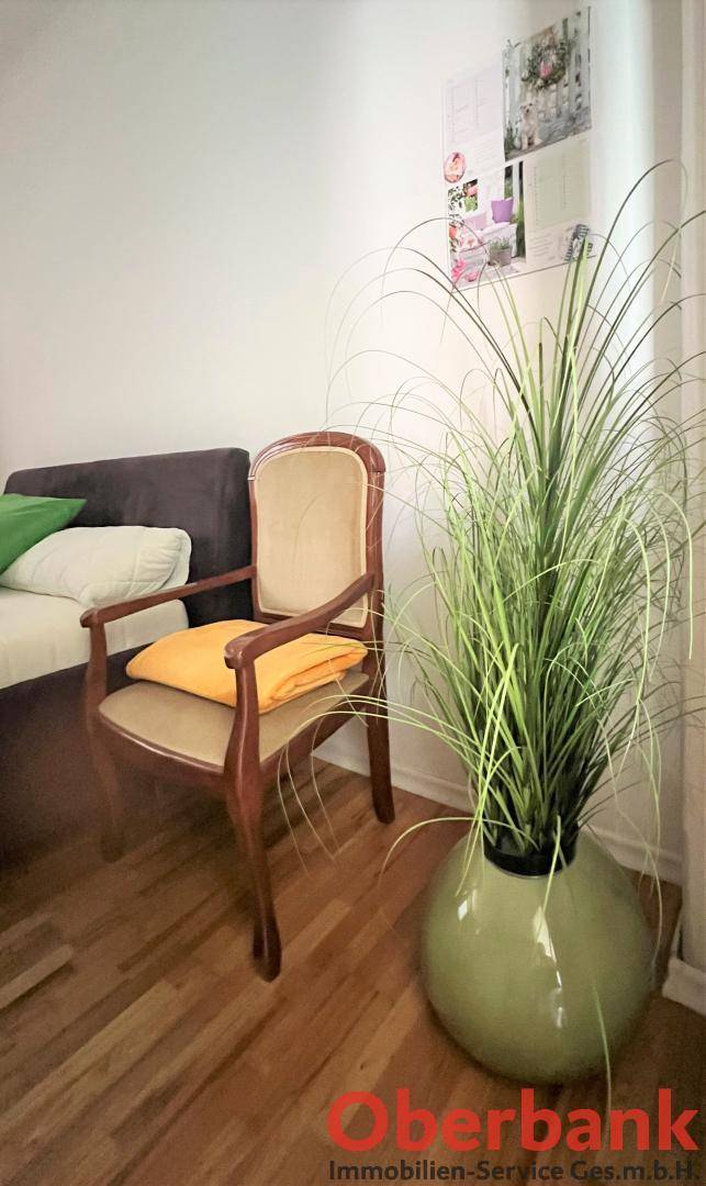 Dekorative Pflanze und klassischer Stuhl im Schlafzimmer.