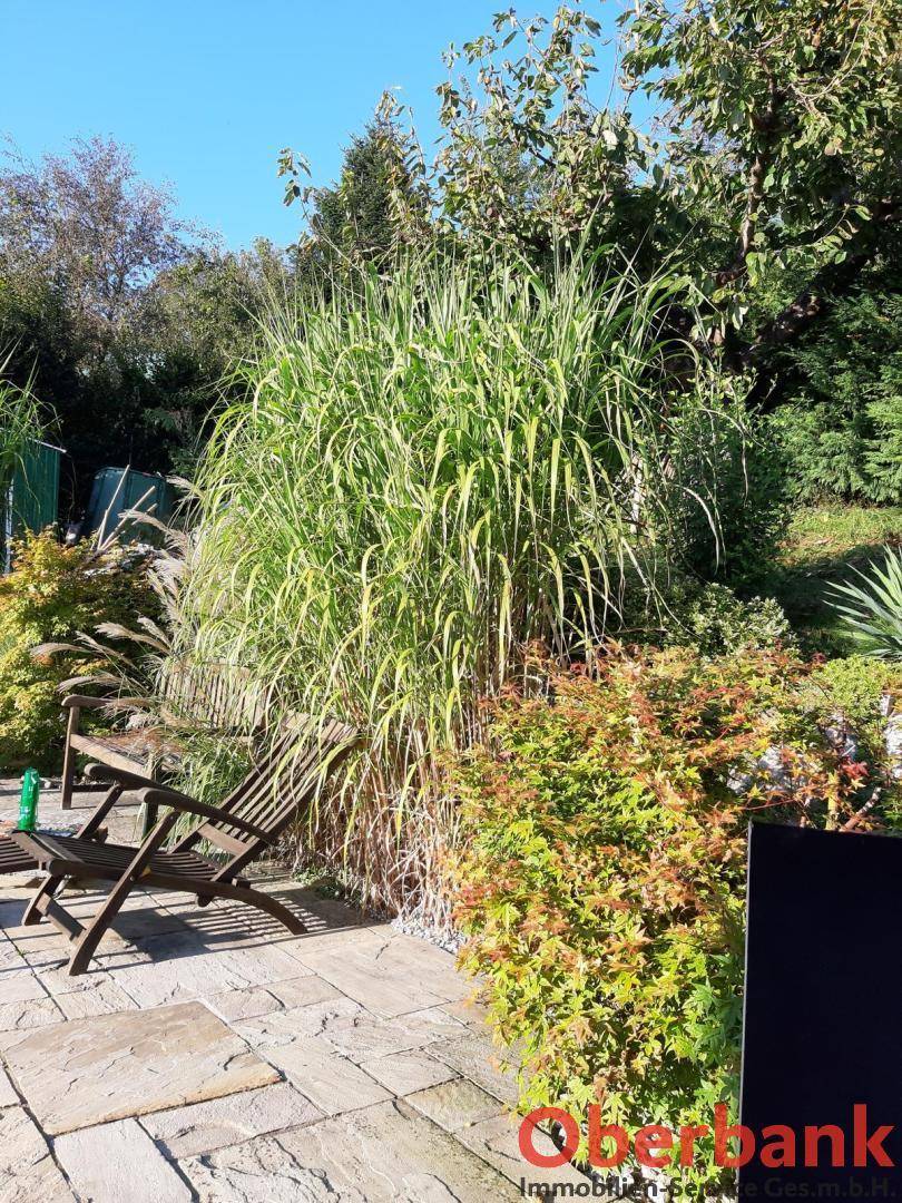 Sonniger Terrassenbereich mit Steinplatten, üppiger Zierbepflanzung und Holzliegestuhl.