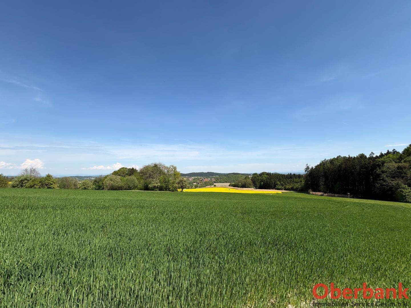Panoramablick über weite grüne Felder, mit einem gelben Rapsfeld und einem Dorf am Horizont.