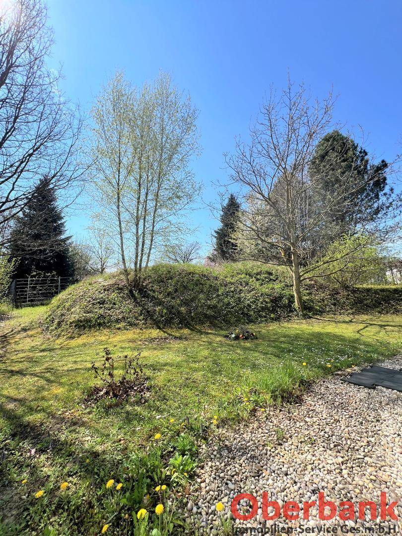 Weitläufige Gartenfläche mit frischem Grün, jungen Bäumen und einem Kiesweg an einem sonnigen Tag.