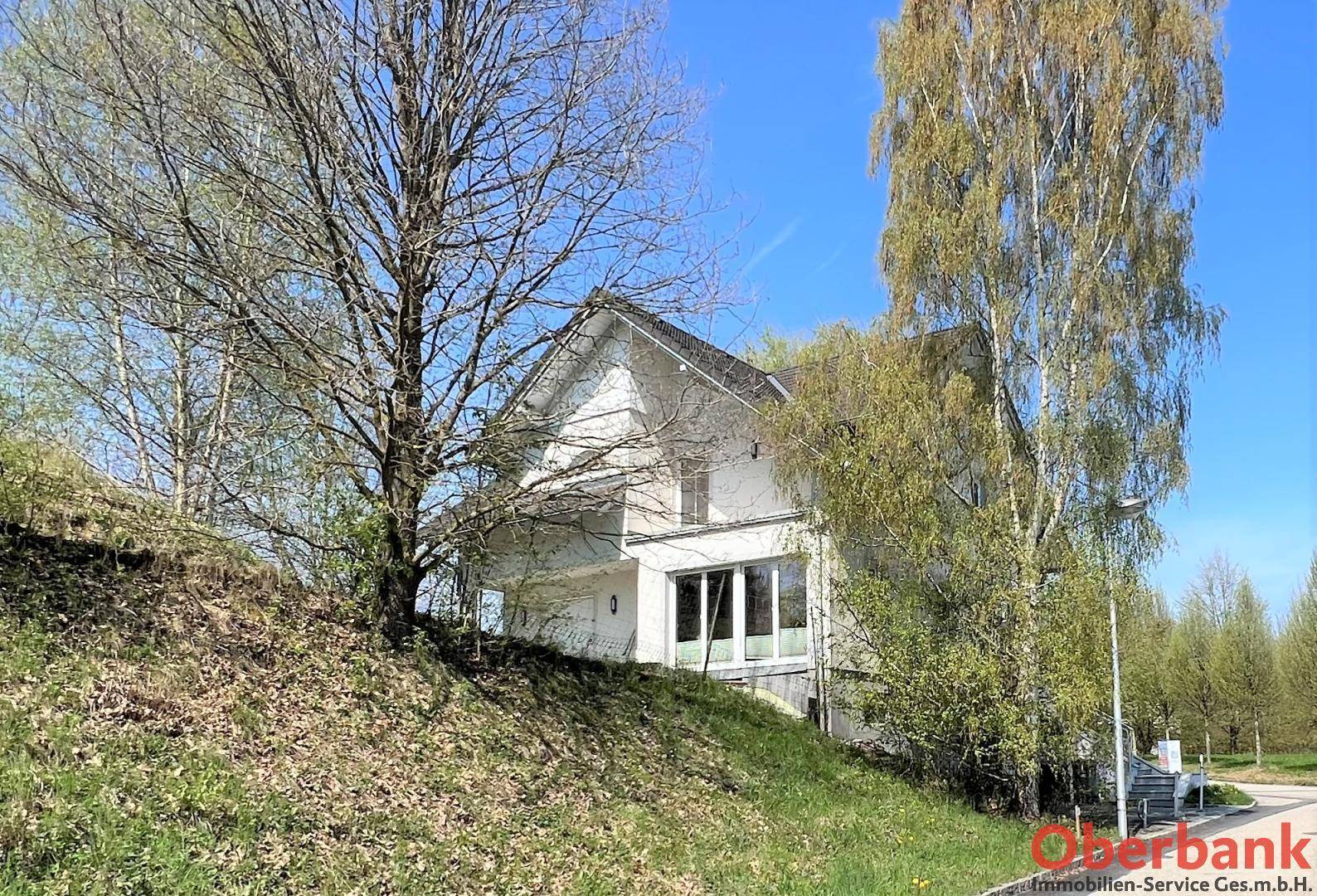 Seitenansicht des Hauses auf einem grünen Hang, umgeben von Bäumen und natürlicher Vegetation.