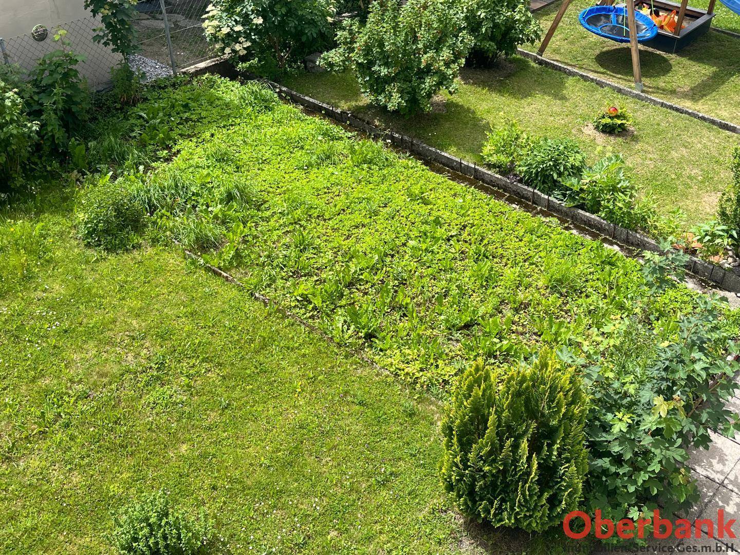 Gepflegter Gartenbereich mit Rasenfläche, Sträuchern und einem Trampolin im Hintergrund.