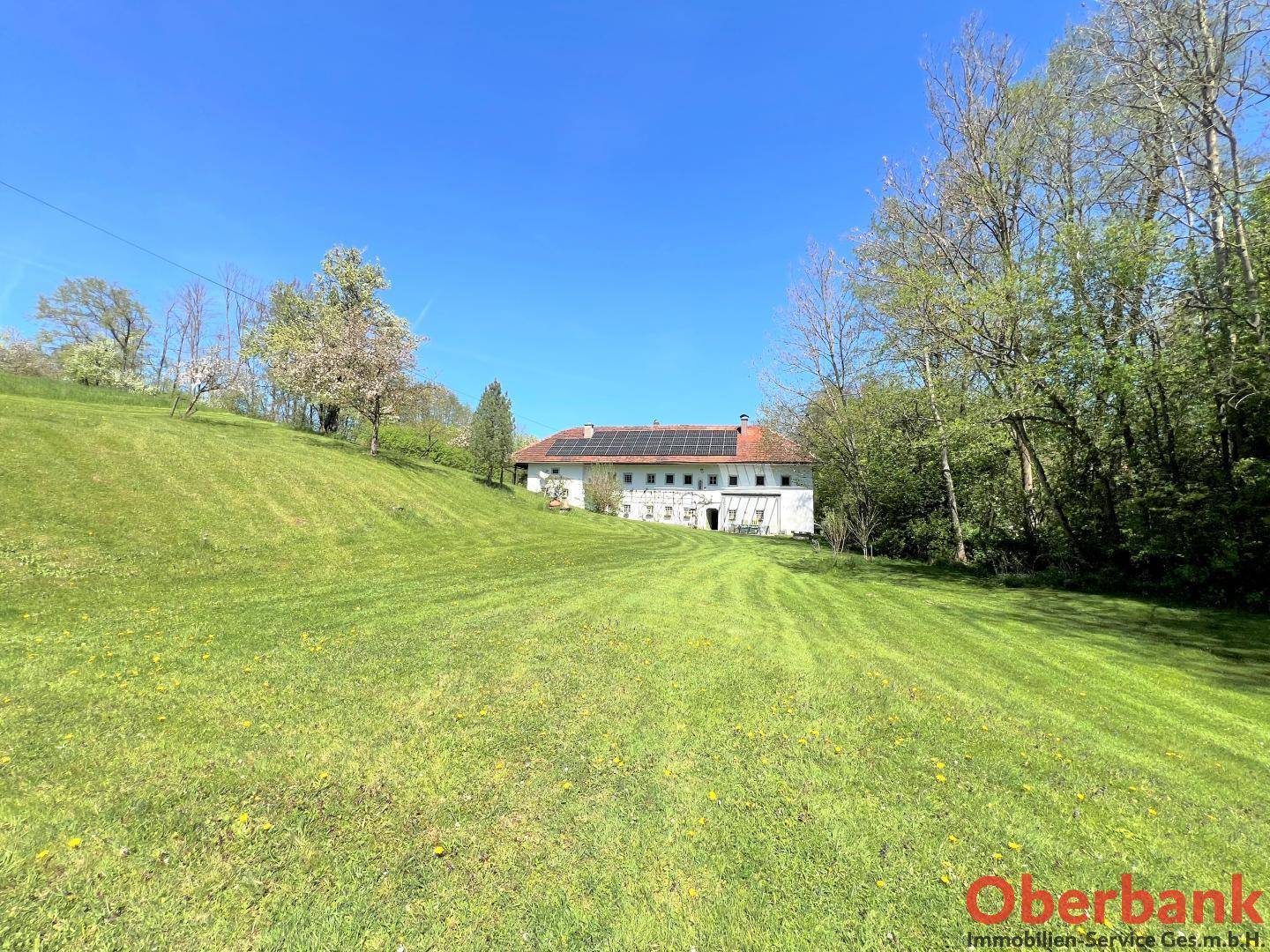 Malerische grüne Hügellandschaft mit dem historischen Bauernhaus am Horizont, umgeben von Bäumen.