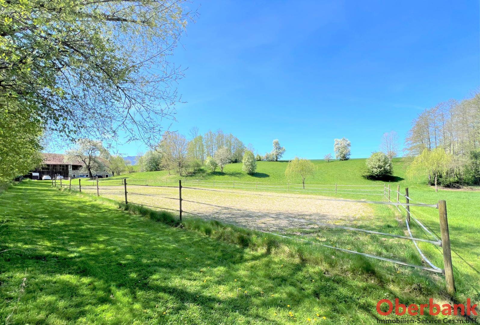 Eingezäunter Reitplatz in einer weitläufigen grünen Landschaft mit dem Hauptgebäude im Hintergrund unter blauem Himmel.