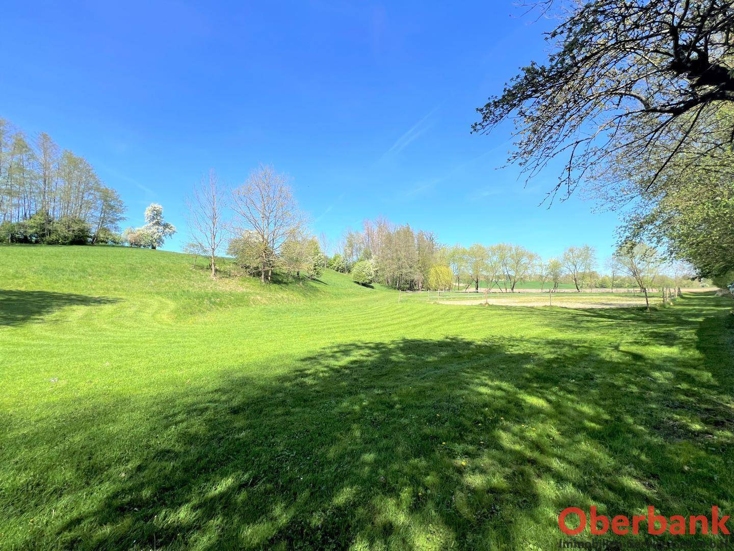 Weite grüne Wiesenfläche mit Schattenwurf von Bäumen, die eine idyllische Landschaft unter blauem Himmel bilden.