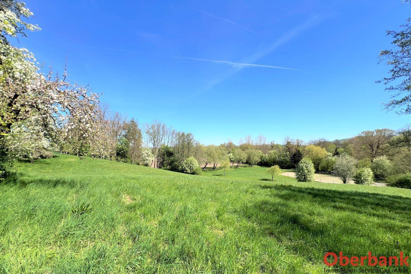 Panoramablick über sanfte grüne Hügel und weite Felder, umgeben von blühenden Bäumen unter blauem Himmel.