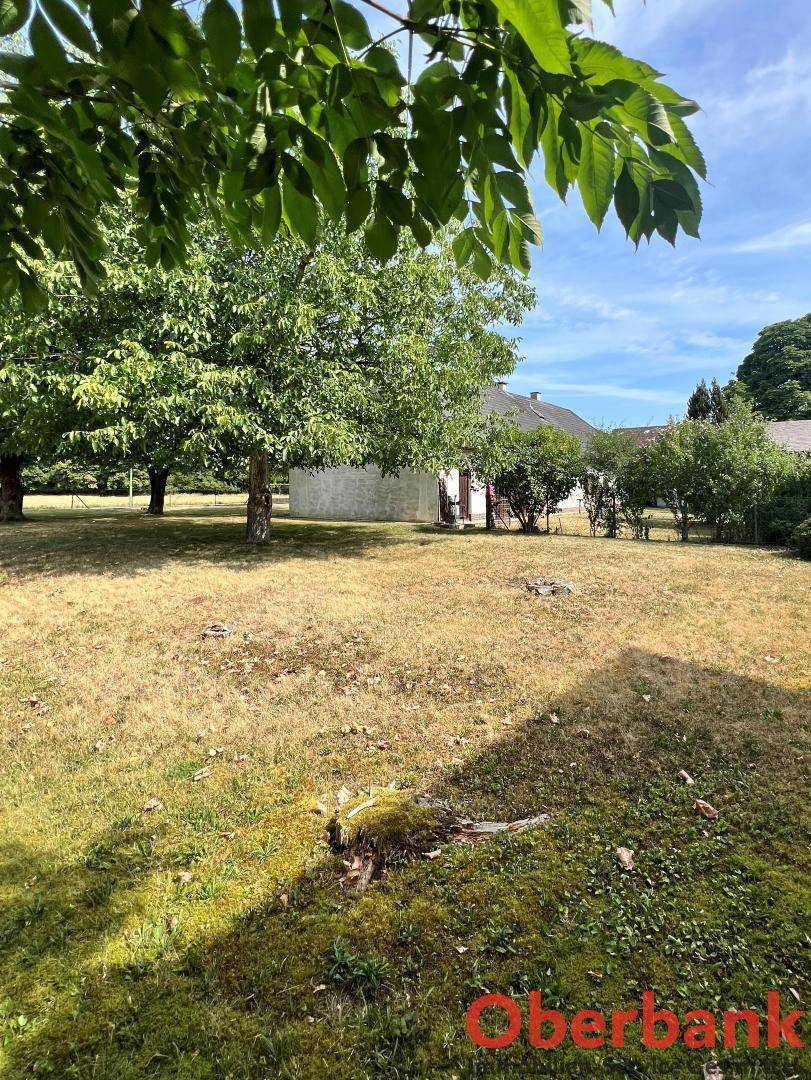 Blick über eine weite Rasenfläche mit schattenspendenden Bäumen und einem Haus im Hintergrund.