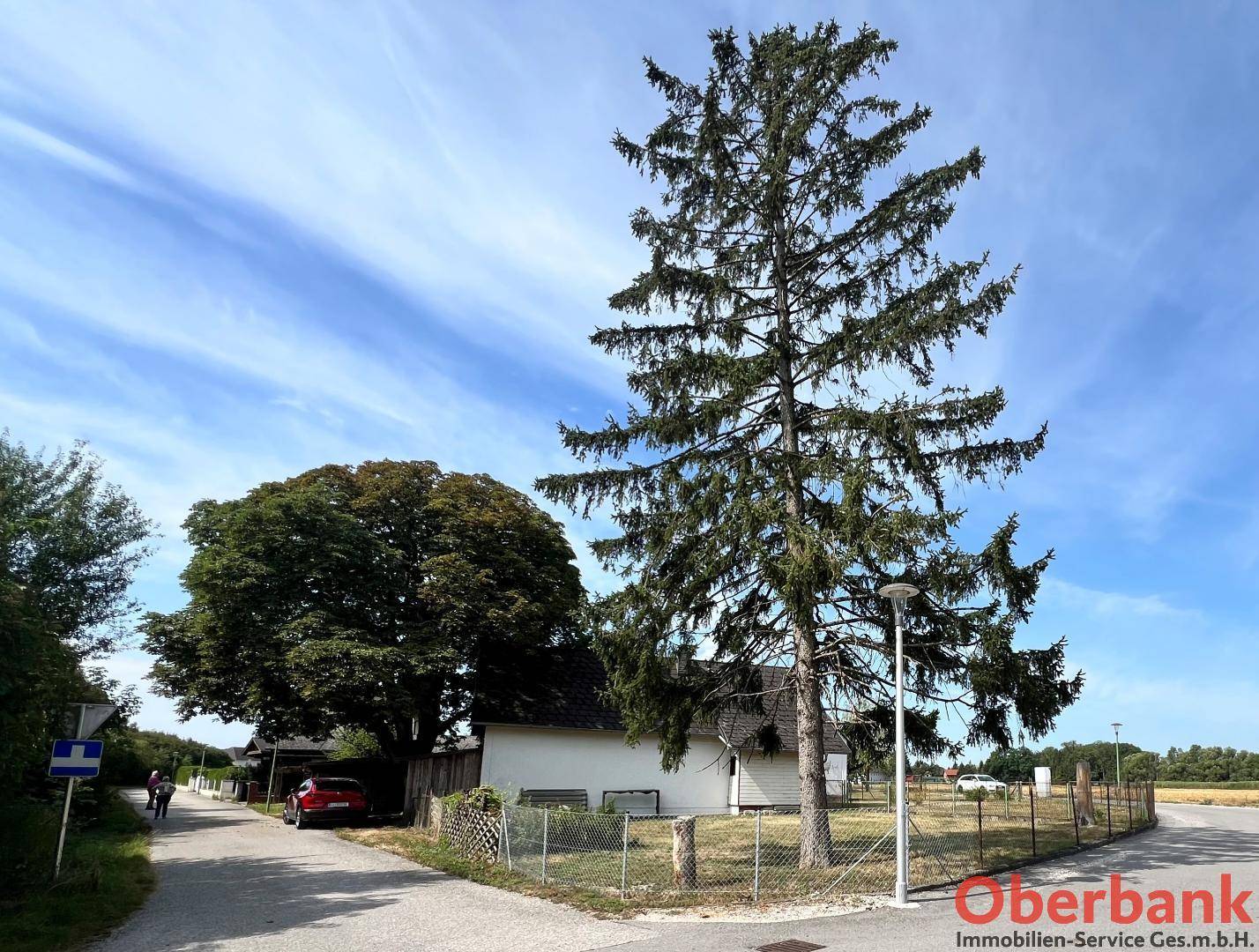 Ländliche Straße mit einem großen Nadelbaum und Blick auf das Anwesen in der Ferne.