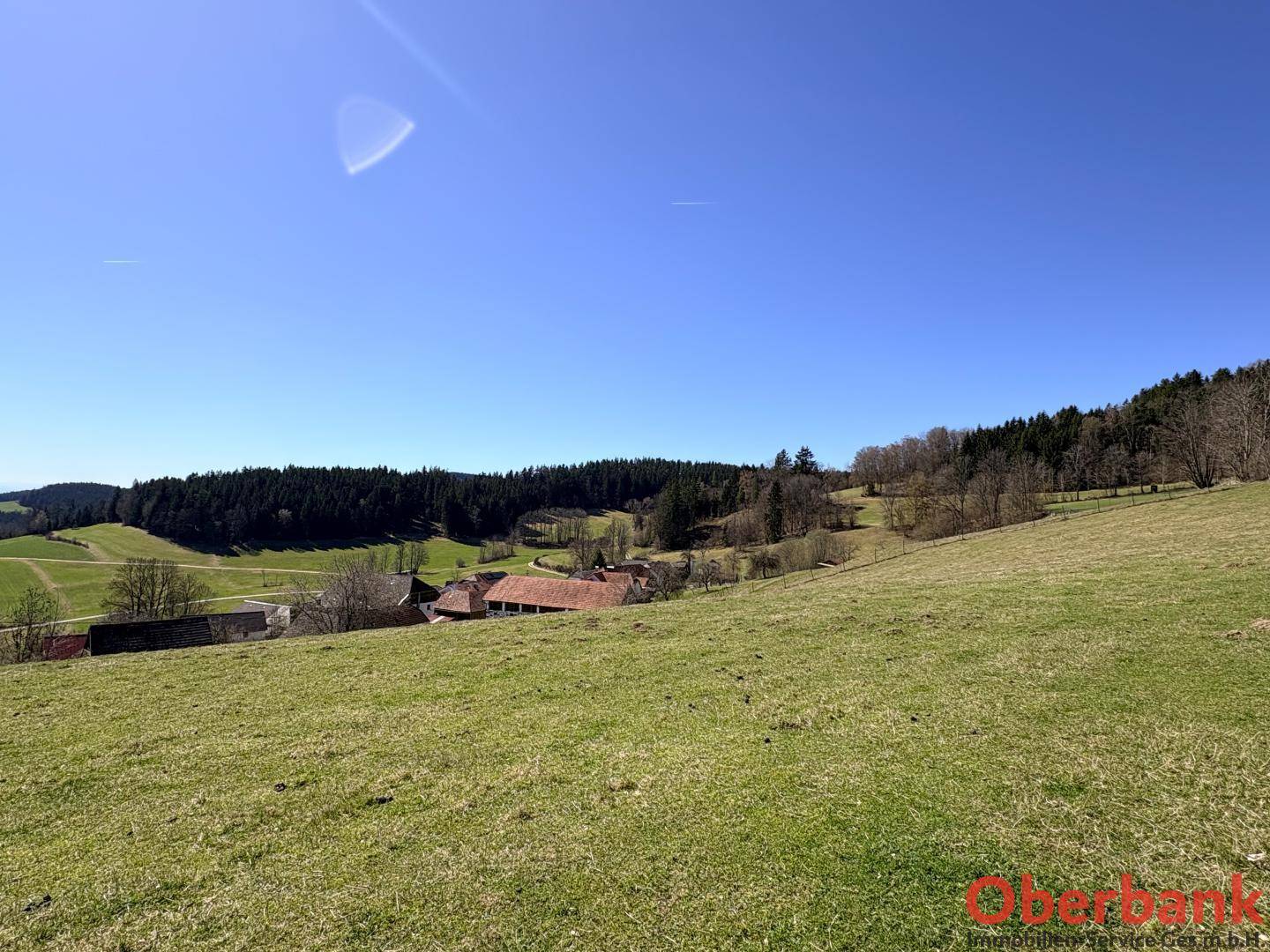 Weitläufige grüne Wiesen und Wälder unter strahlend blauem Himmel, eine idyllische Landschaft.