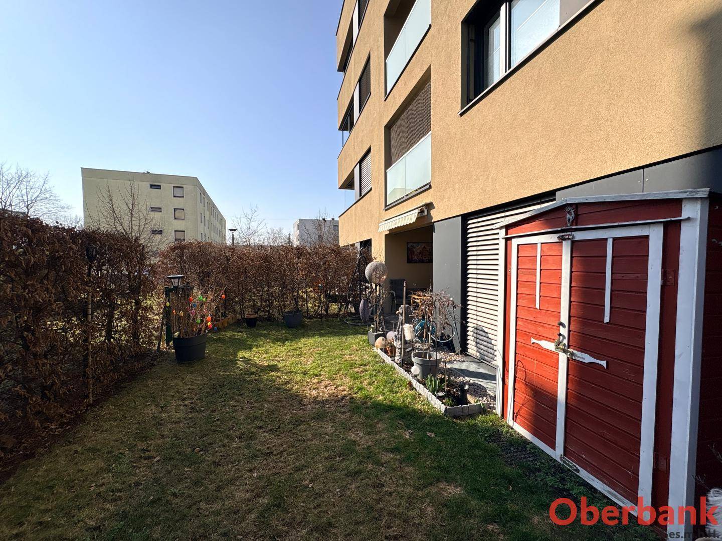 Gepflegter Garten mit Rasenfläche, Hecke und einem roten Gartenschuppen für zusätzlichen Stauraum.