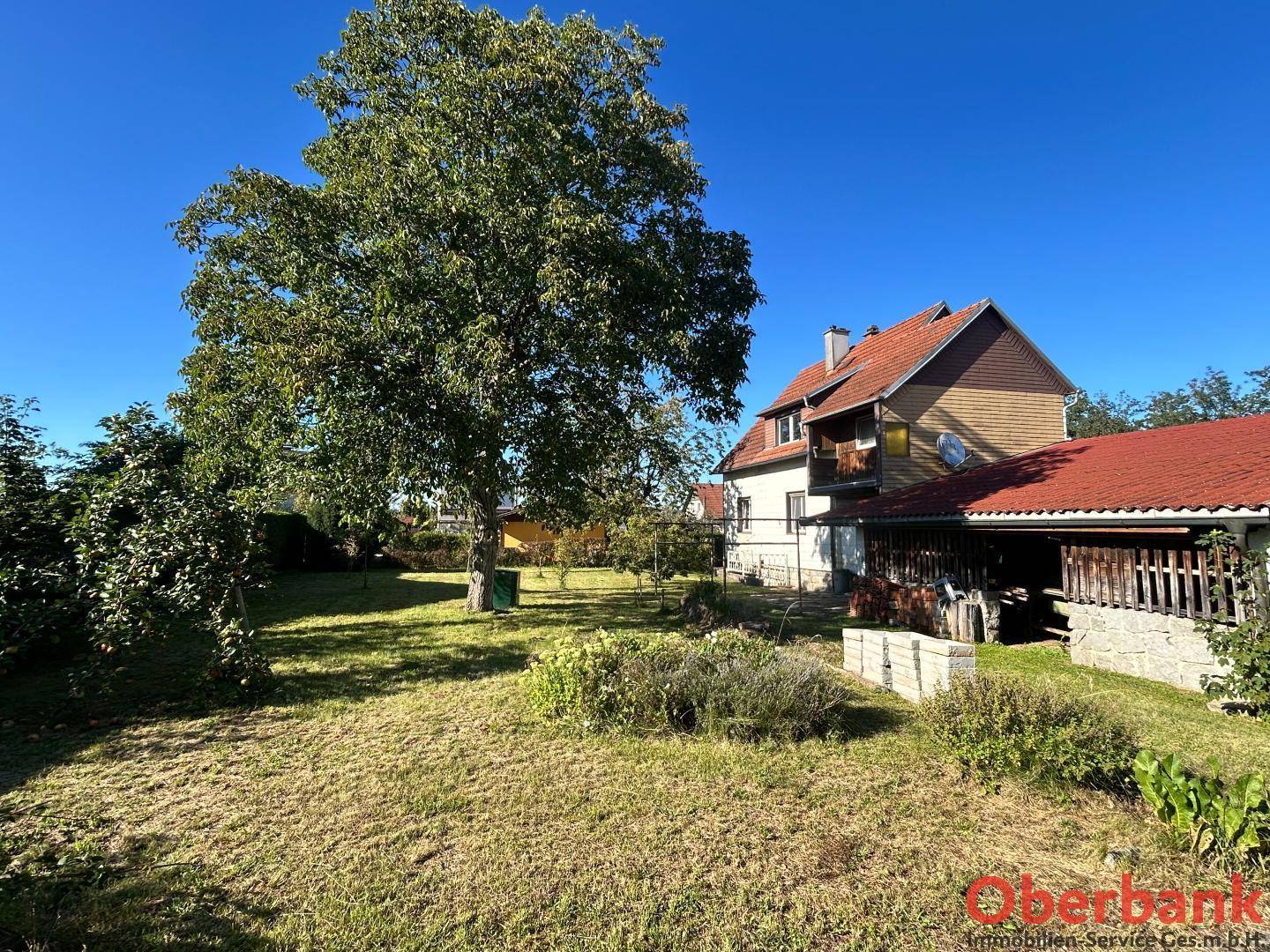 Weitläufiger Garten mit altem Baumbestand und sonnigem Blick auf die Hausfassade.