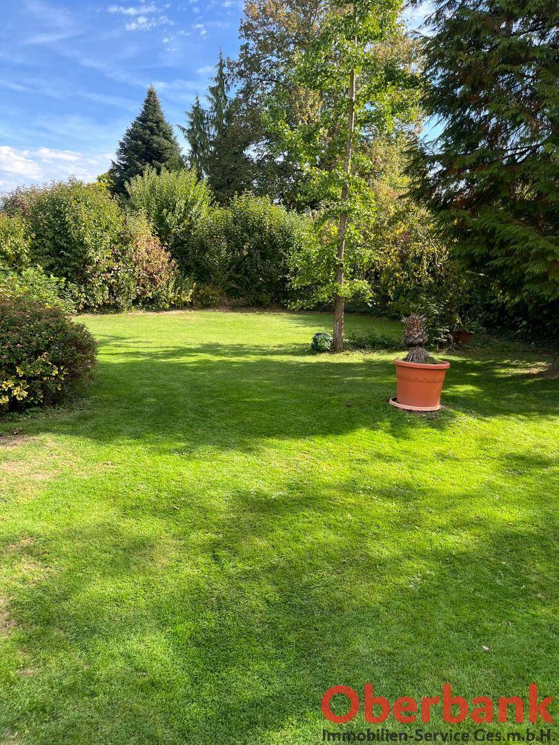 Weitläufige Rasenfläche im sonnigen Garten mit einzelnen Bäumen und Topfpflanzen.