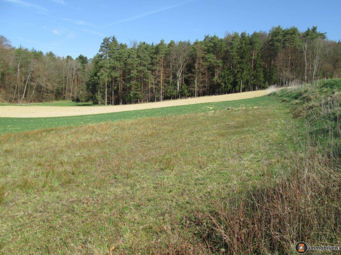 Jennersdorf: Zentrumsnaher Bauplatz in sonniger Ruhelage - Ansicht 3
