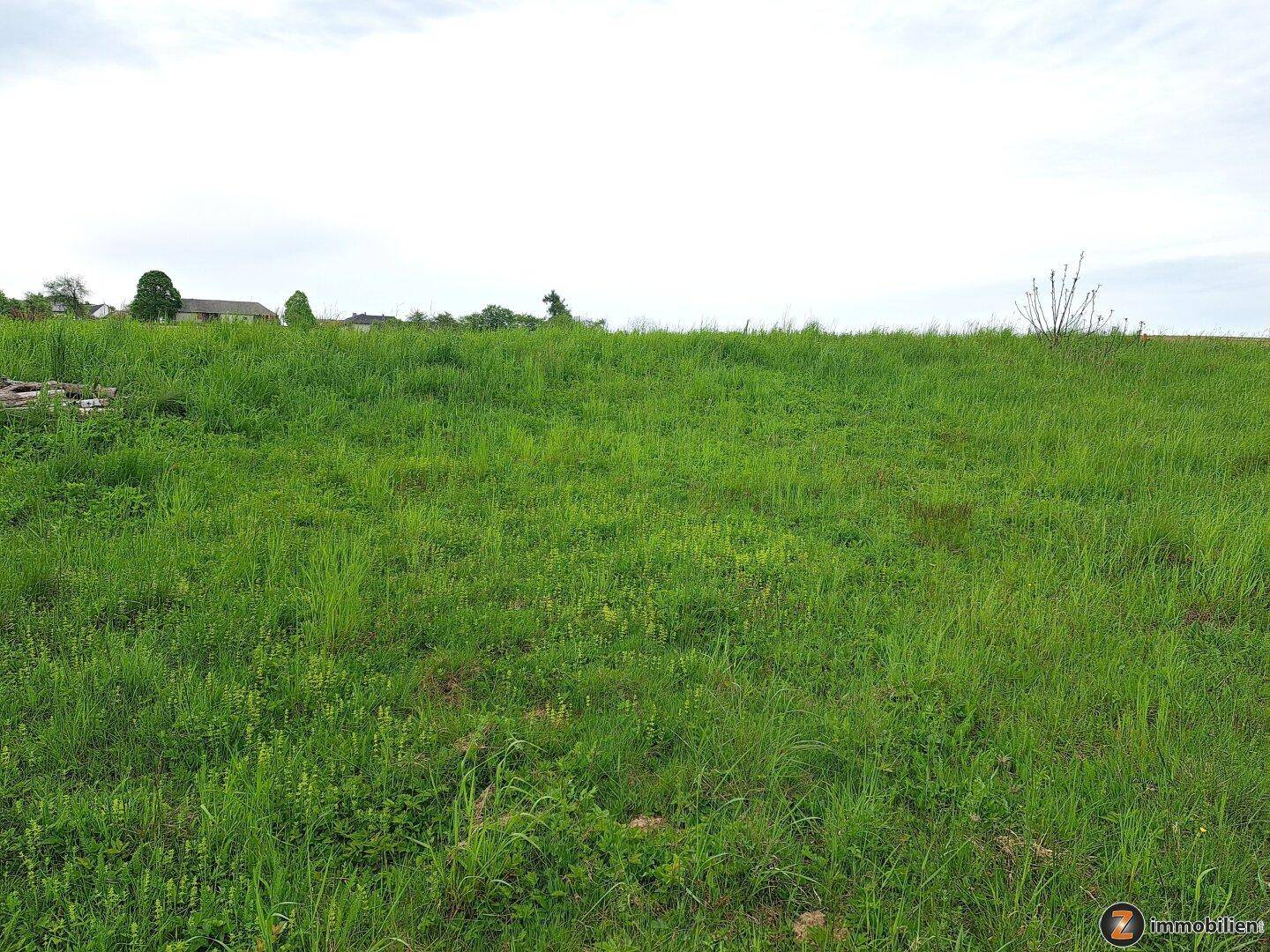 Offene grüne Fläche mit hohem Gras und einigen Häusern am Horizont unter weitem Himmel.