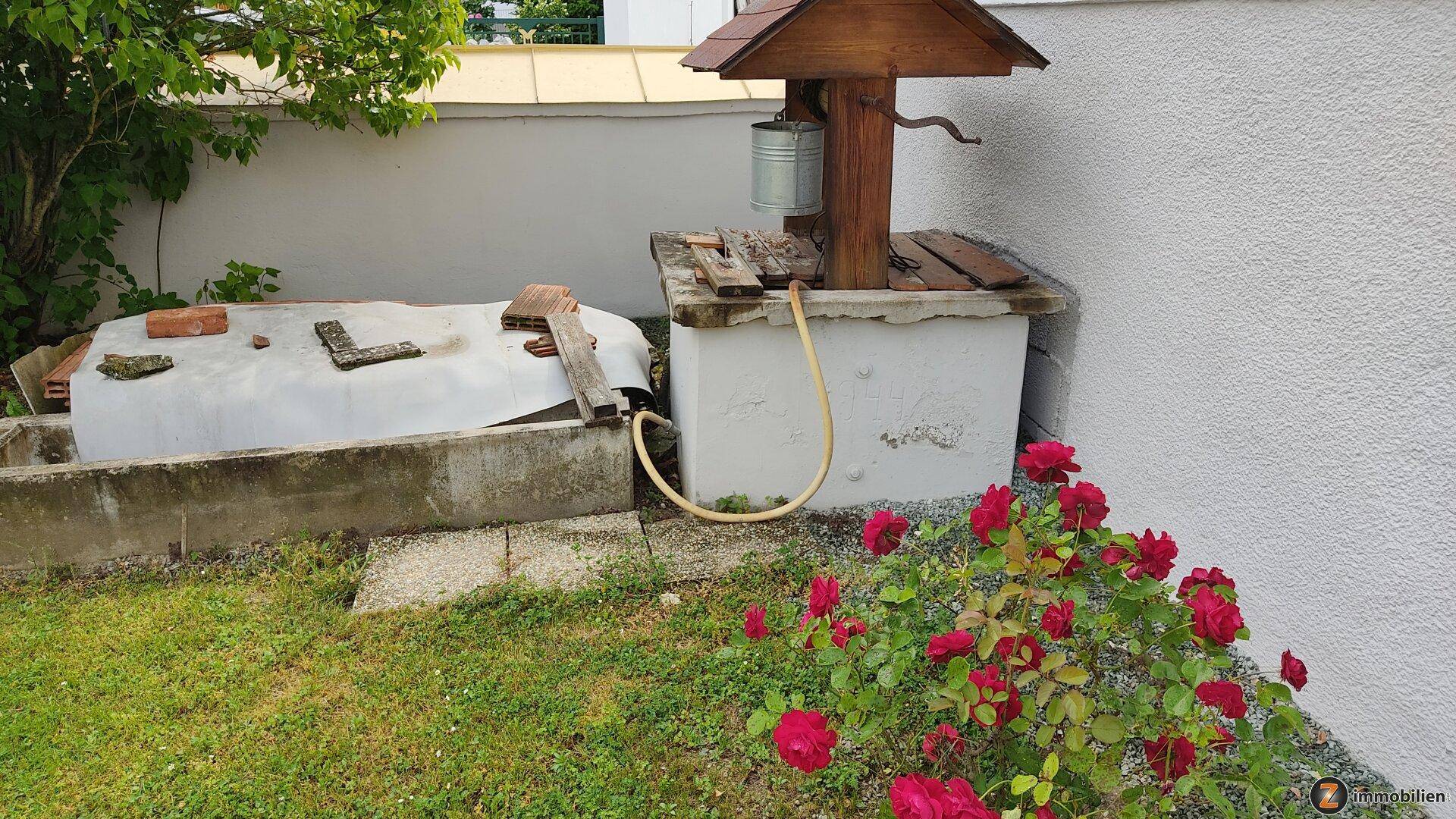 Gartenbereich mit einem dekorativen Brunnen und blühenden roten Rosenbüschen.