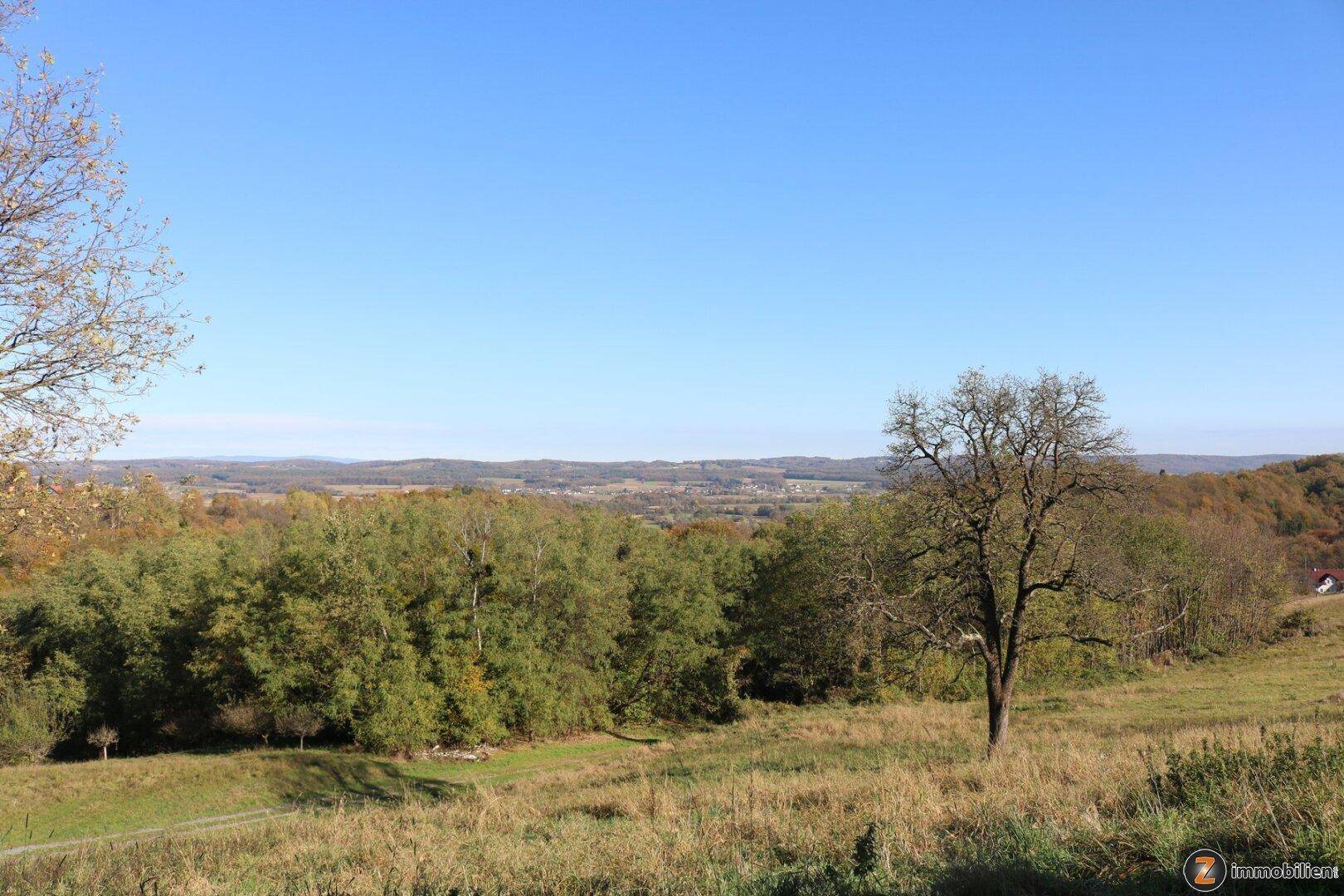 Weitläufige grüne Landschaft mit Bäumen und Feldern unter blauem Himmel, ideal für Naturliebhaber.